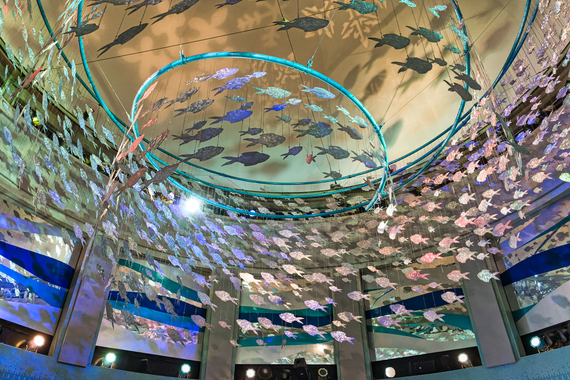 NJ Aquarium 00005