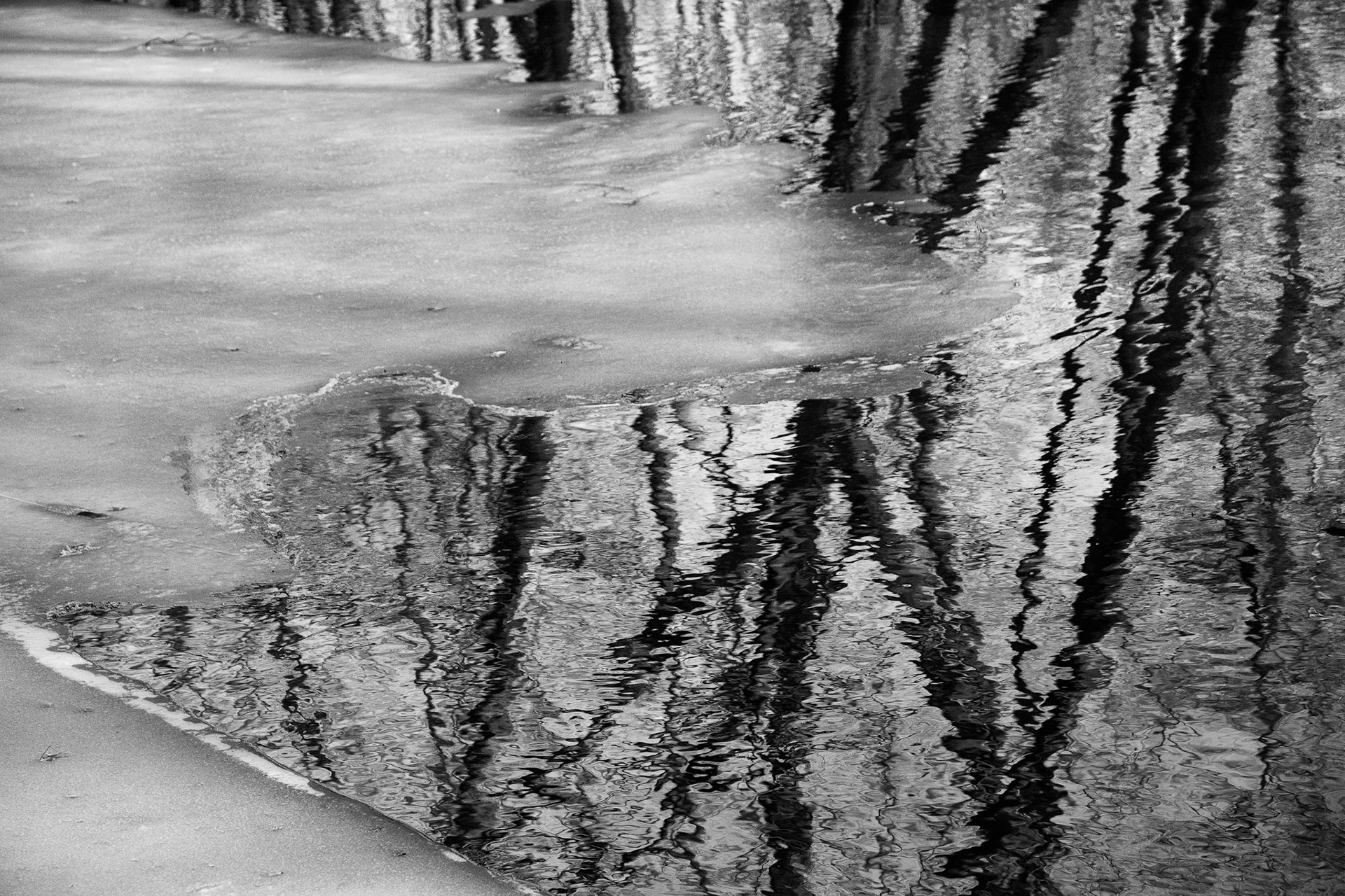 Black & White 00121