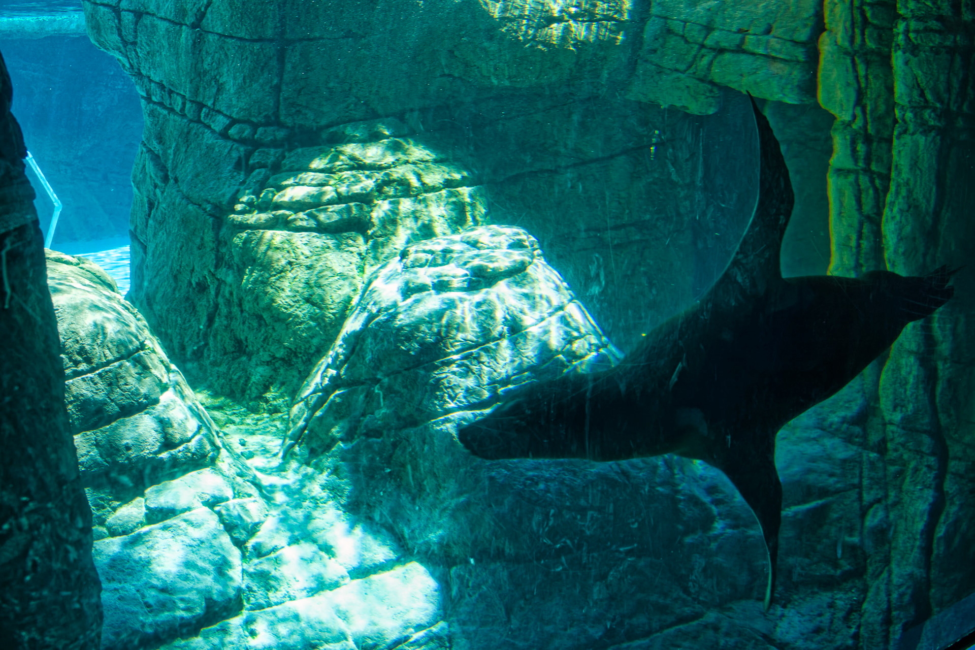 IN Zoo 00120