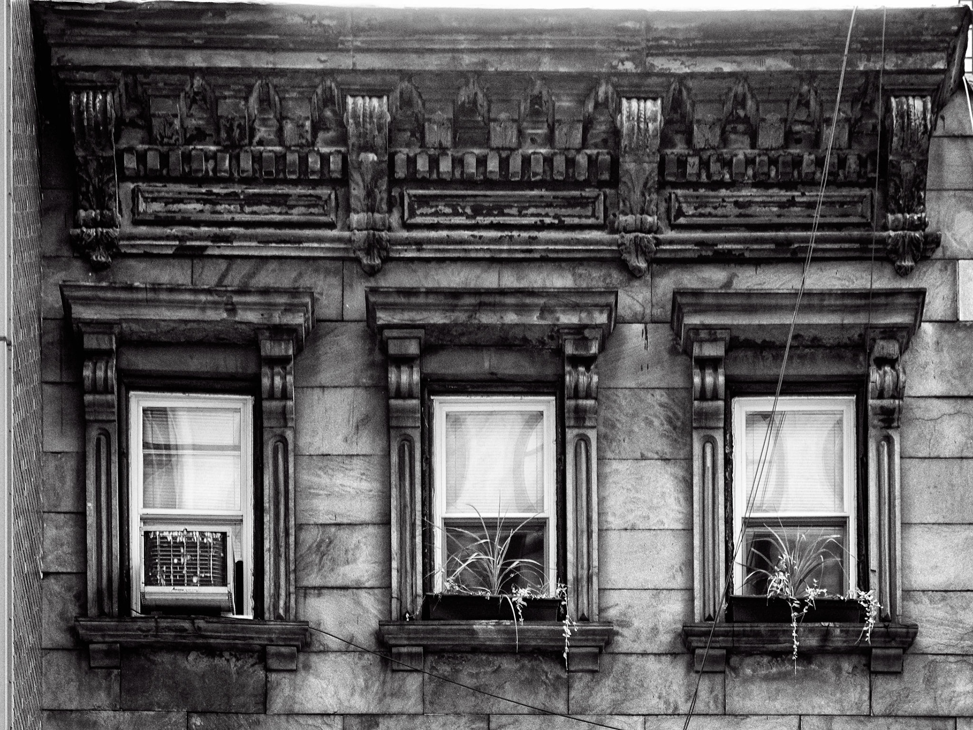 Black & White 00154
