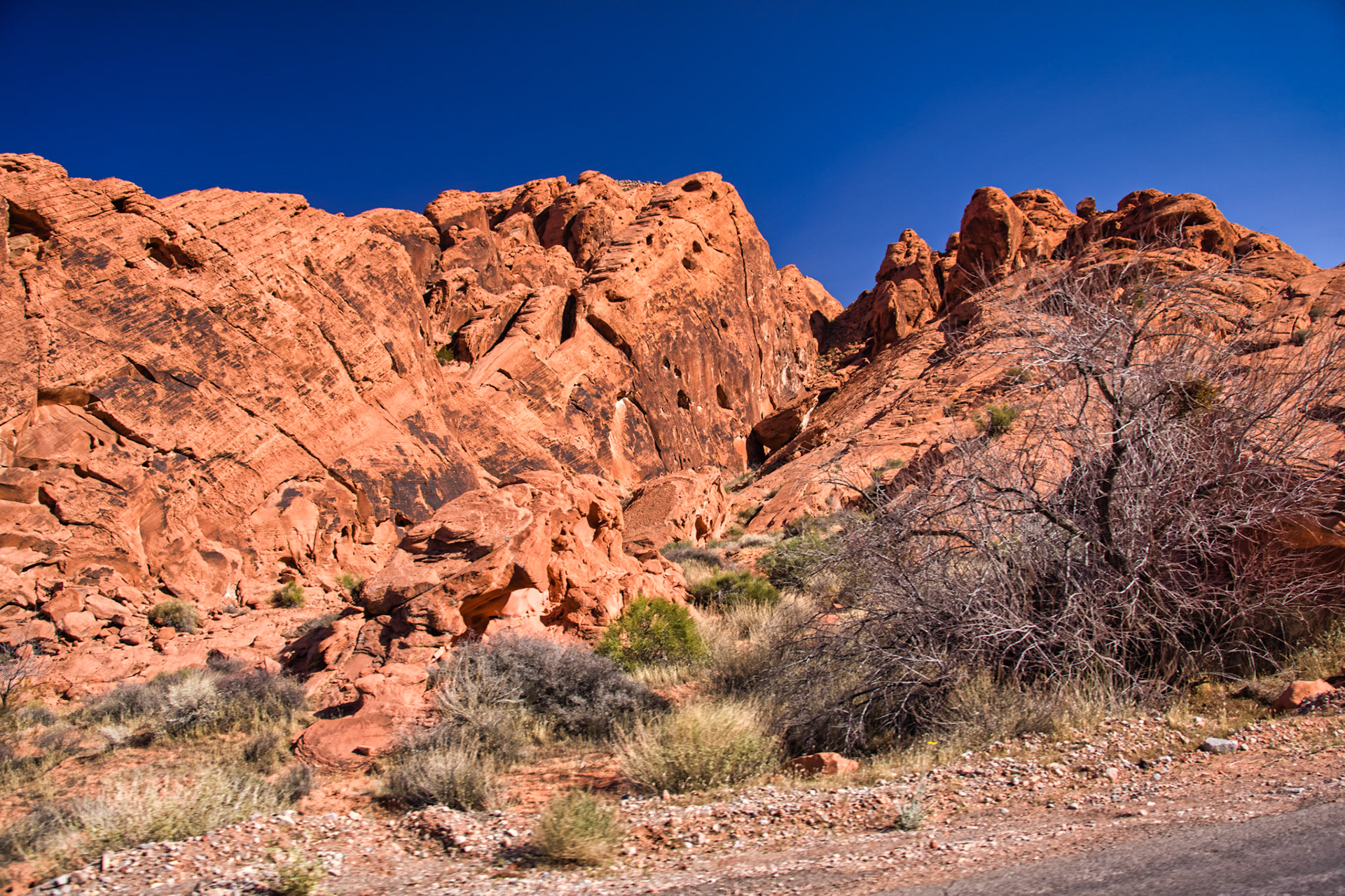 NV Desert 00100