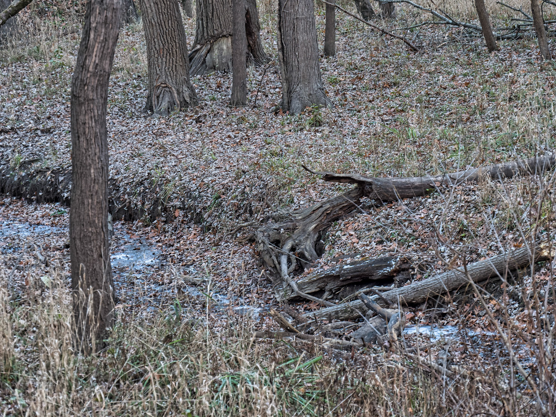 IL Starved Rock 00077