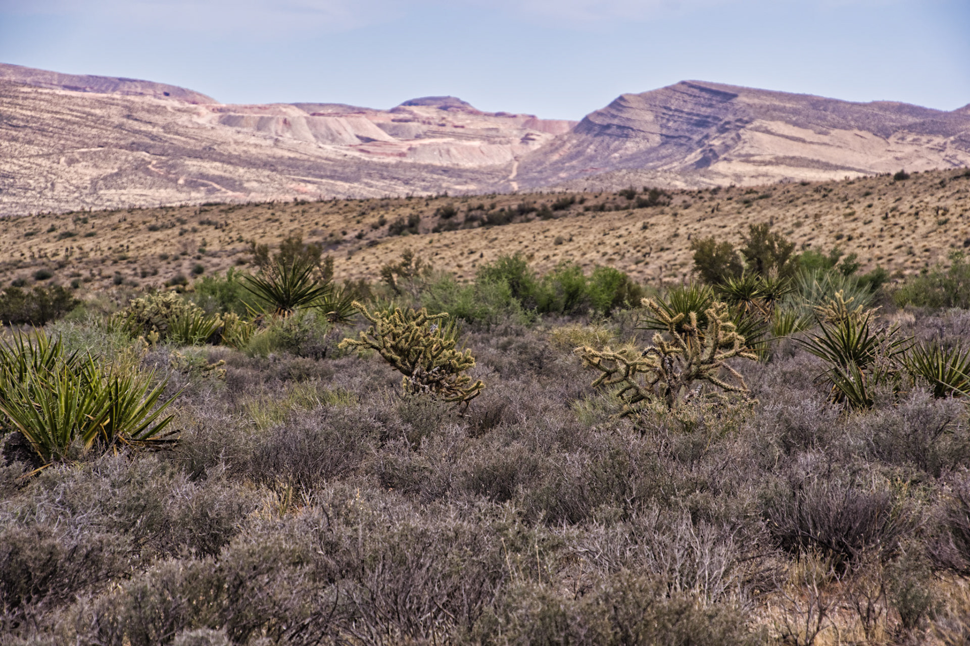 NV Desert 00166