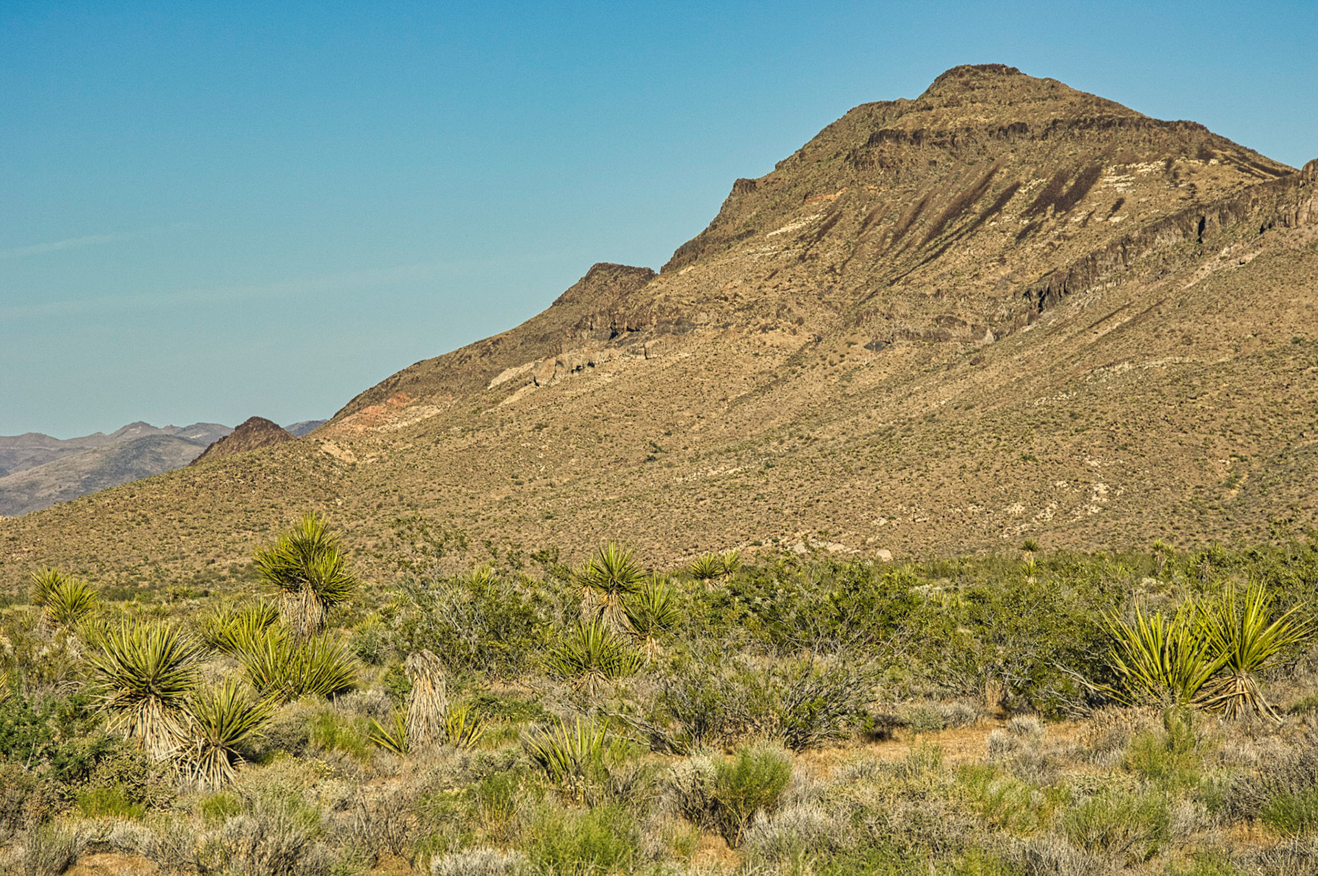 Desert Southwest