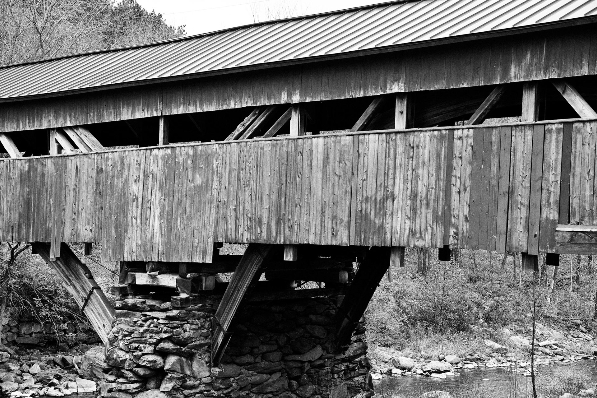 Black & White 00129