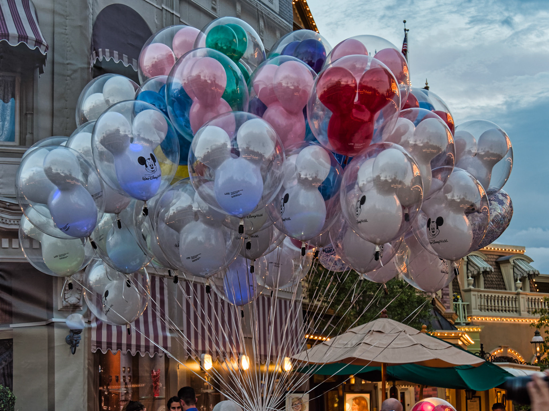 Florida Disney 00025