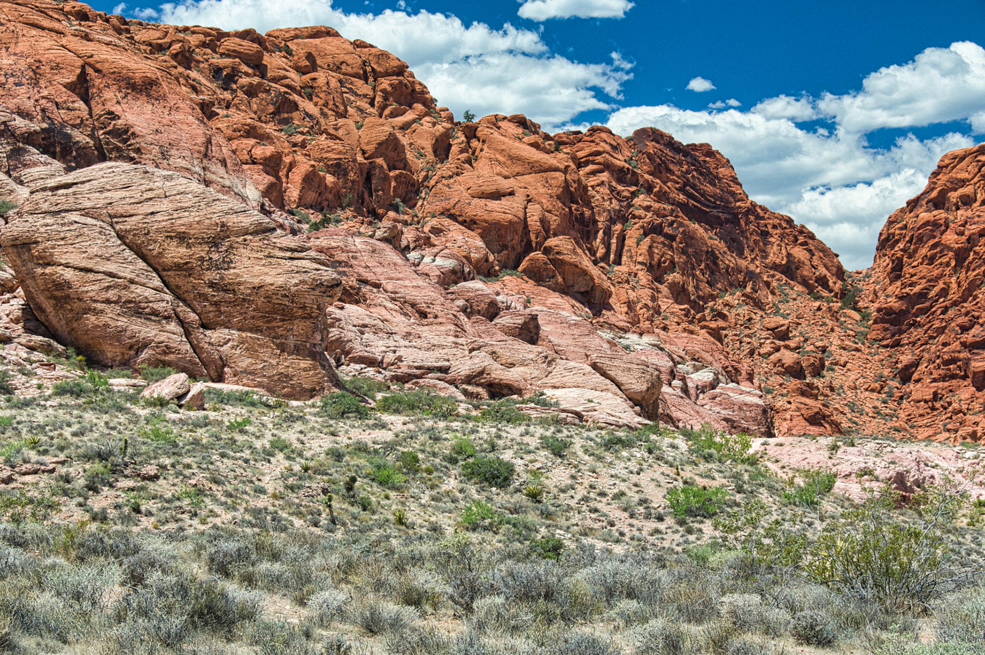 NV Desert 00011