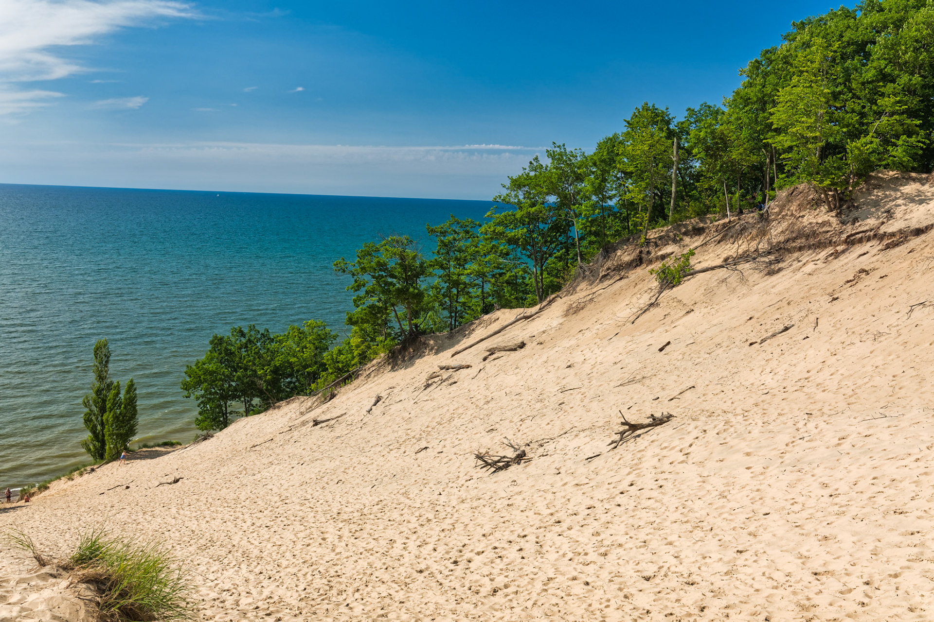 MI Dunes 00095