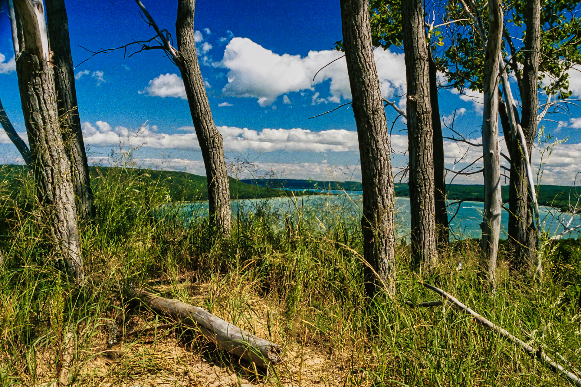 MI Mackinaw and Traverse City 00006