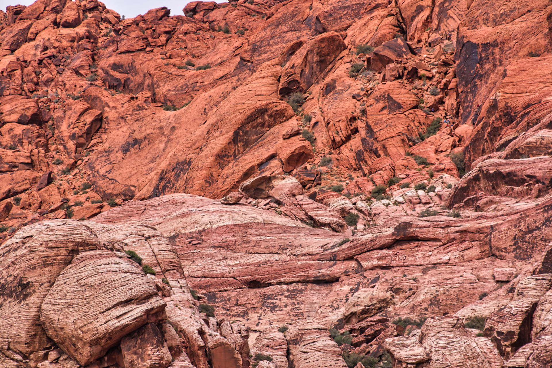 NV Desert 00193