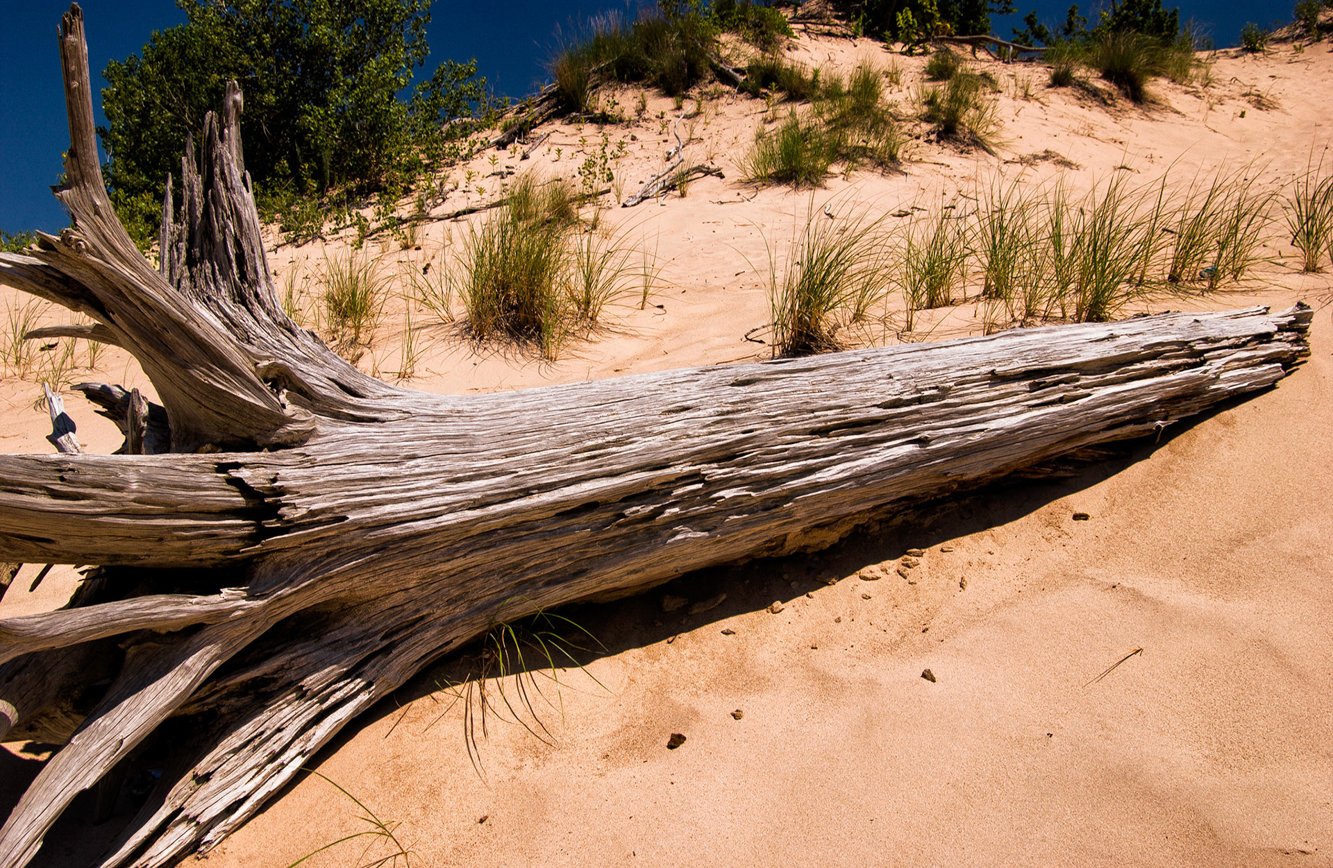 MI Dunes 00123