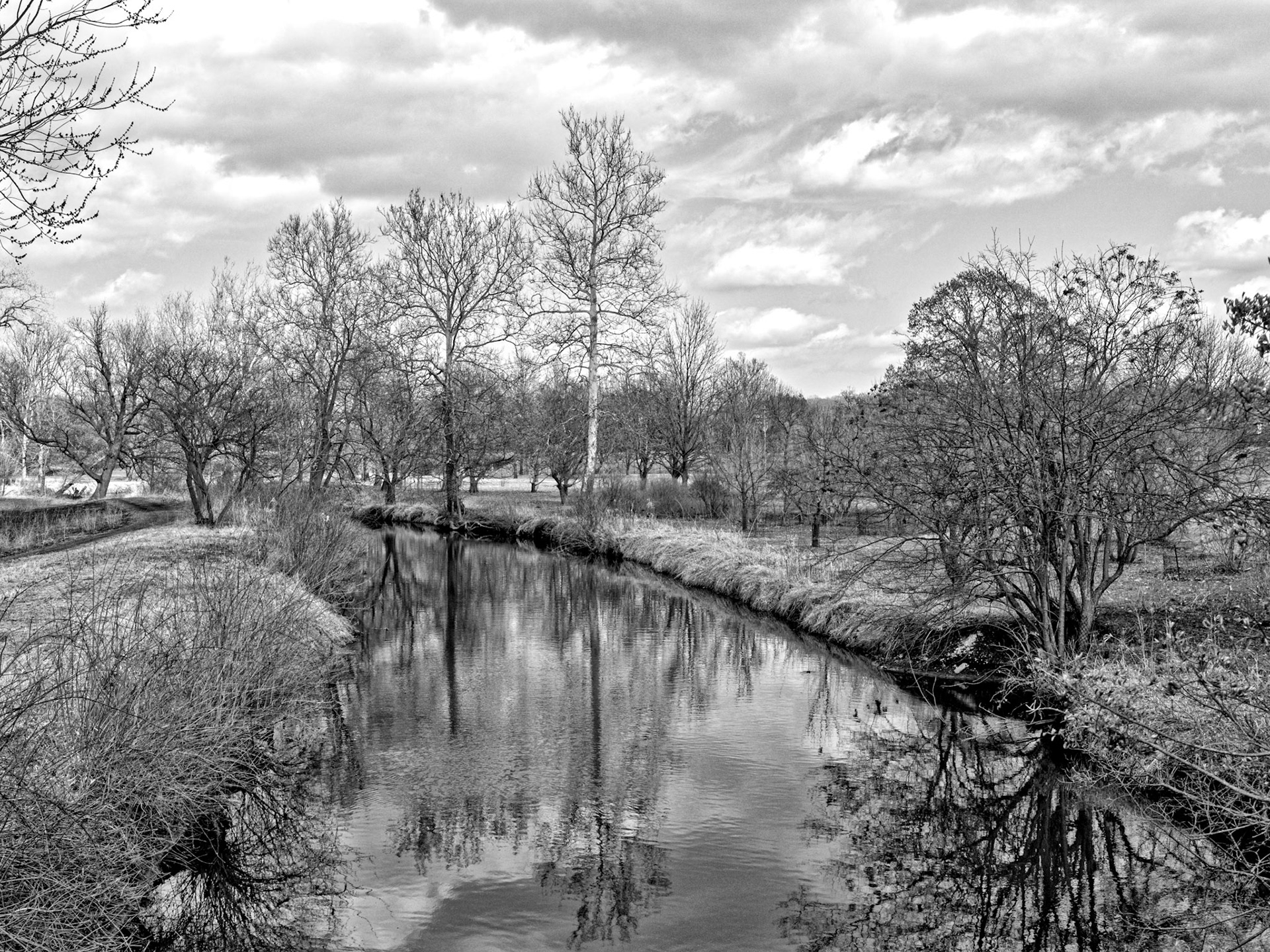 Black & White 00041