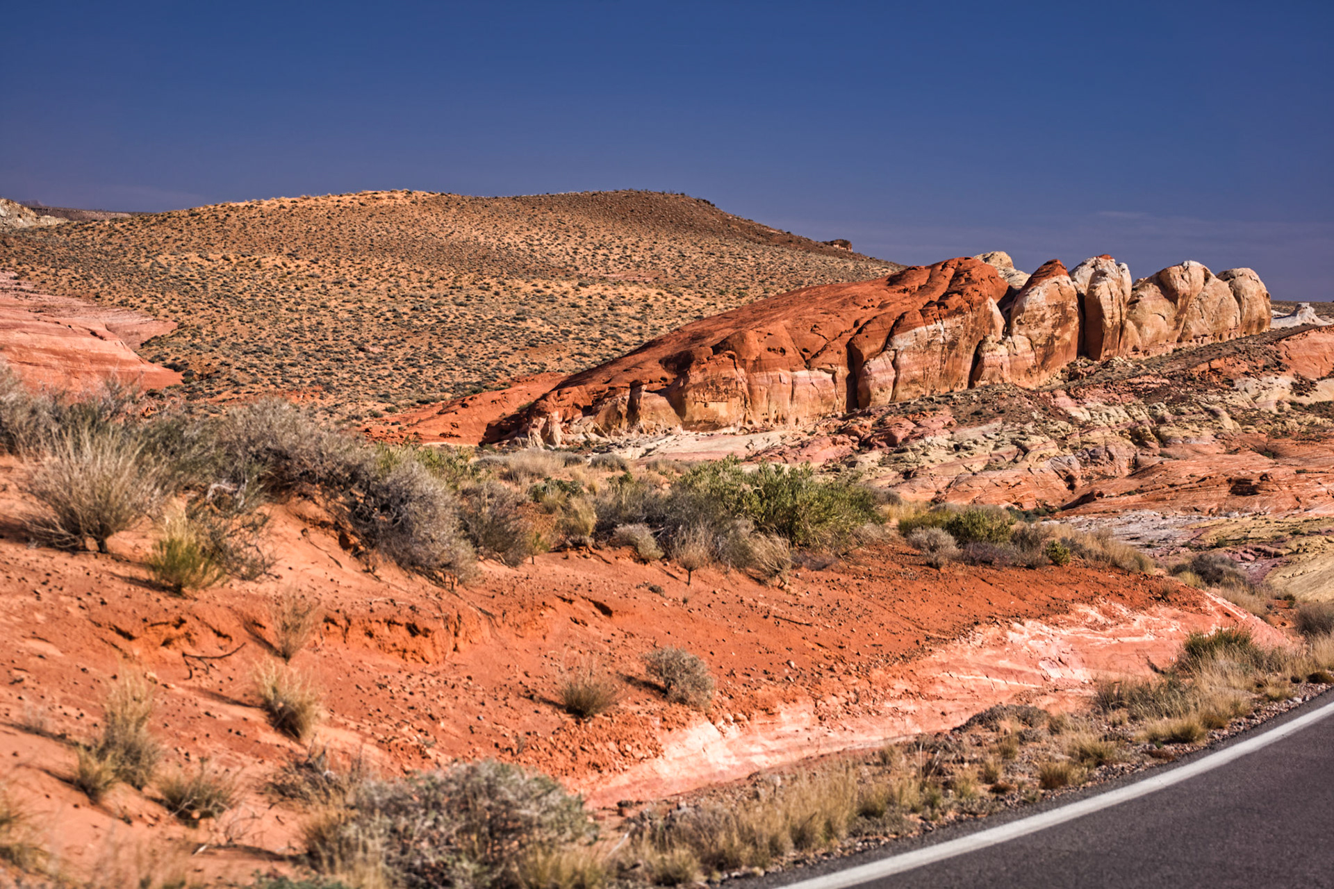NV Desert 00110