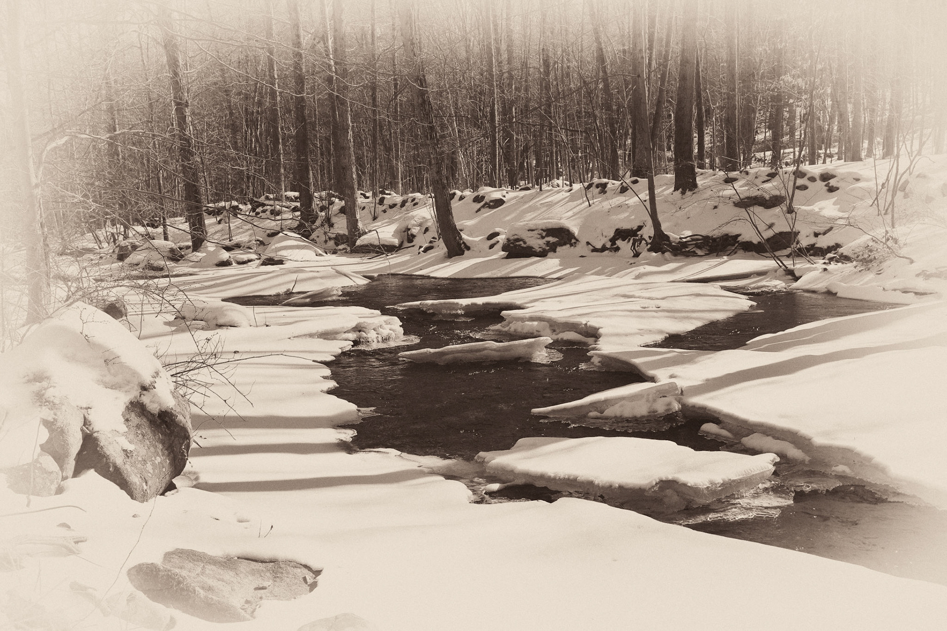 Black & White 00112