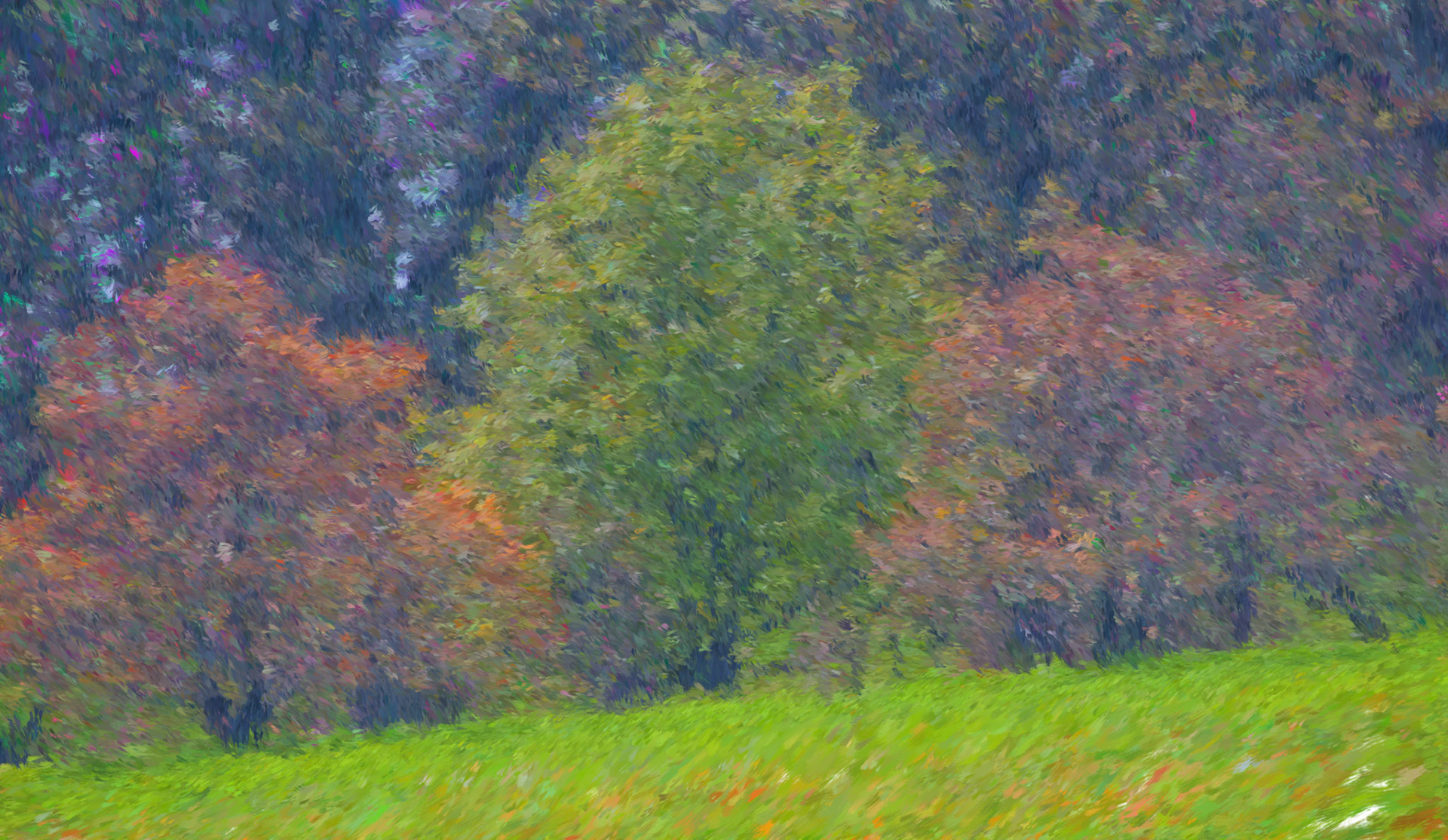Paintings 00260
