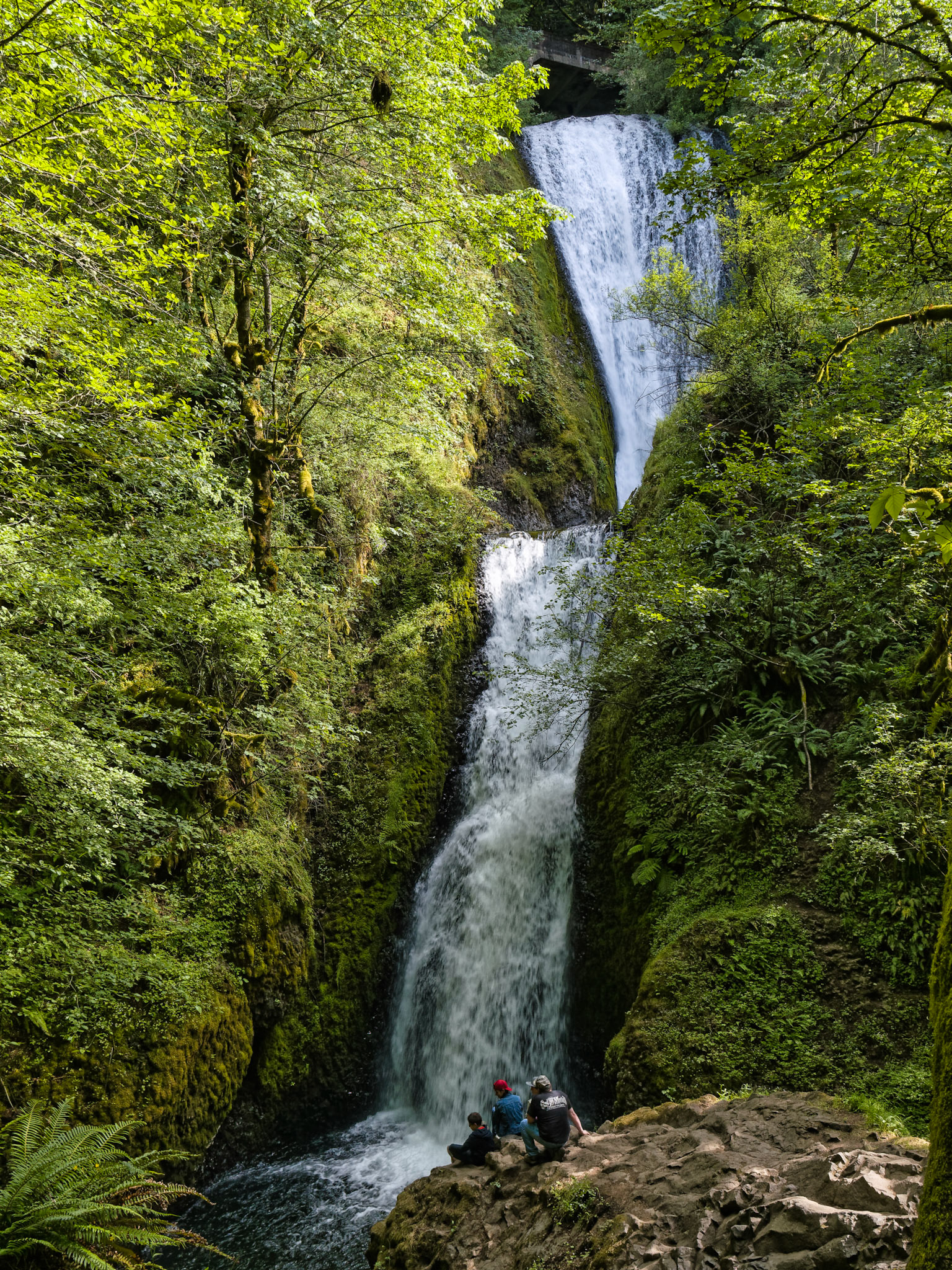 OR Portland 00053