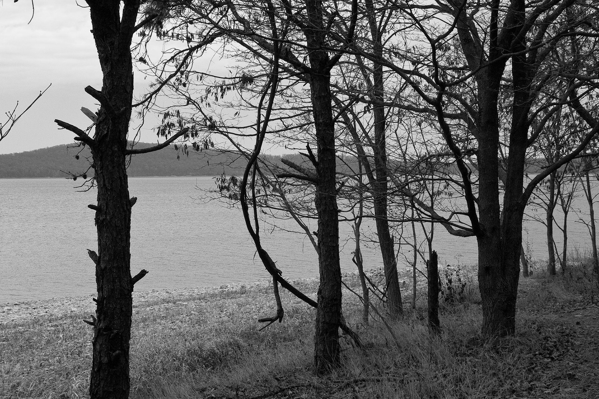 Black & White 00057