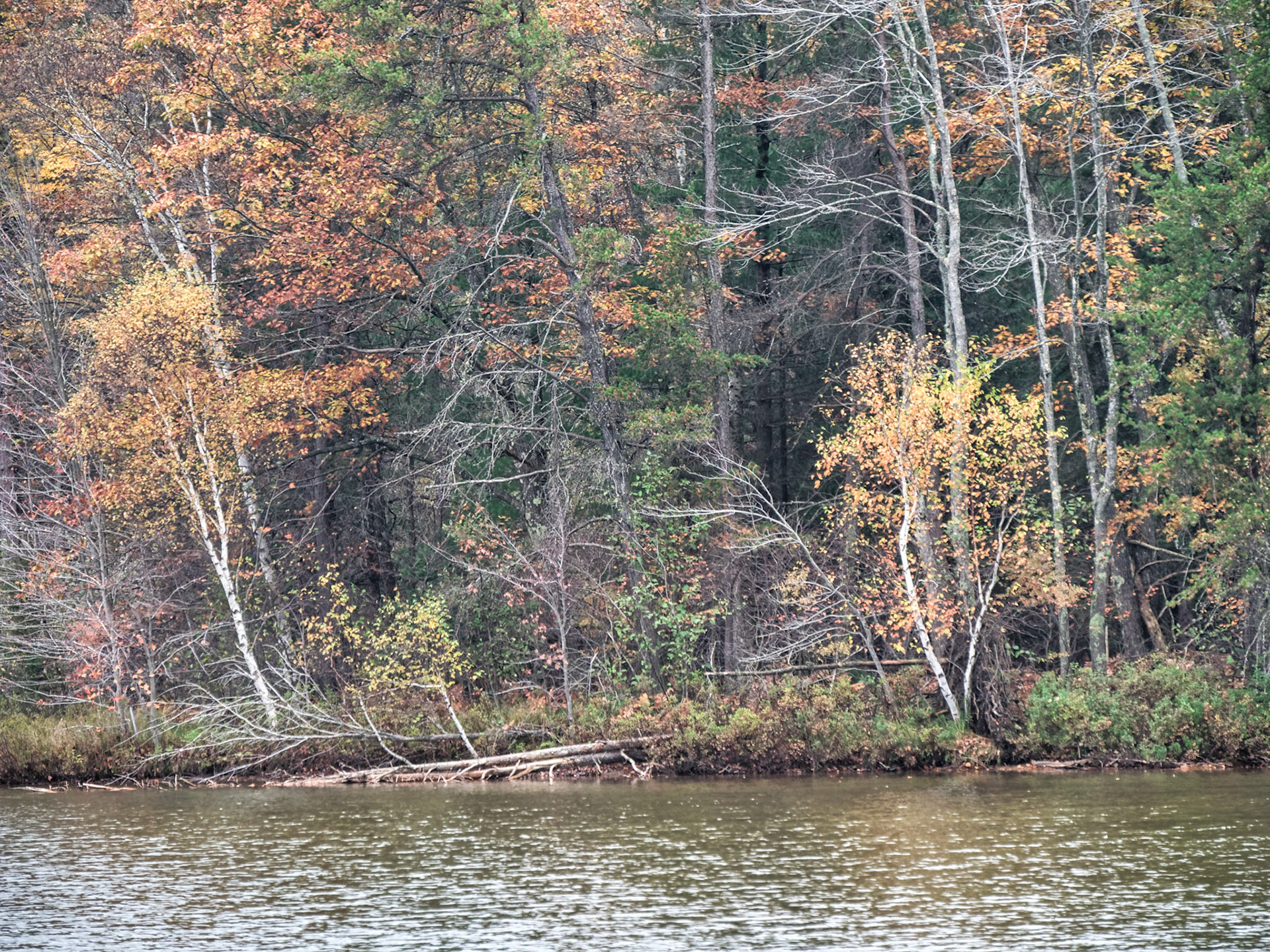 WI Fence 00134