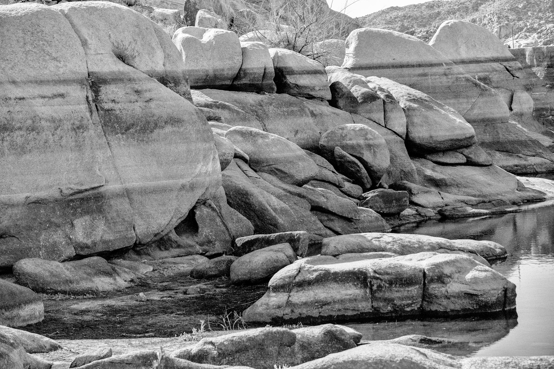 Black & White 00104