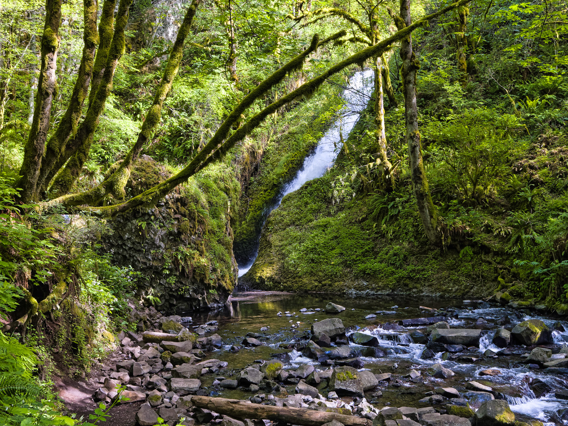 OR Portland 00044