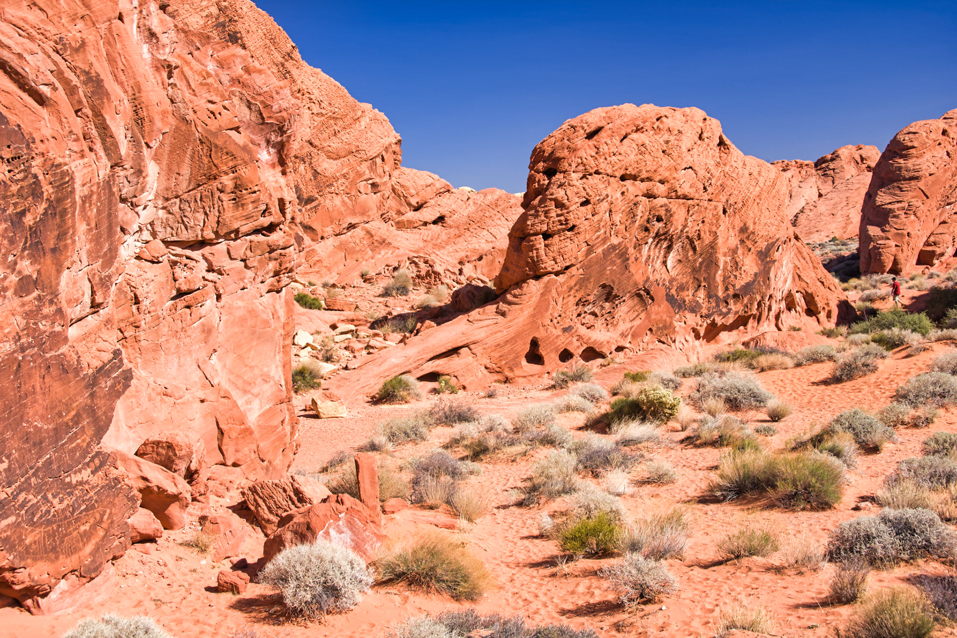 NV Desert 00139