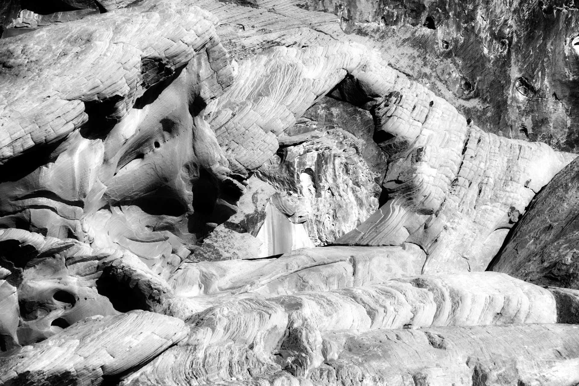 Black & White 00195