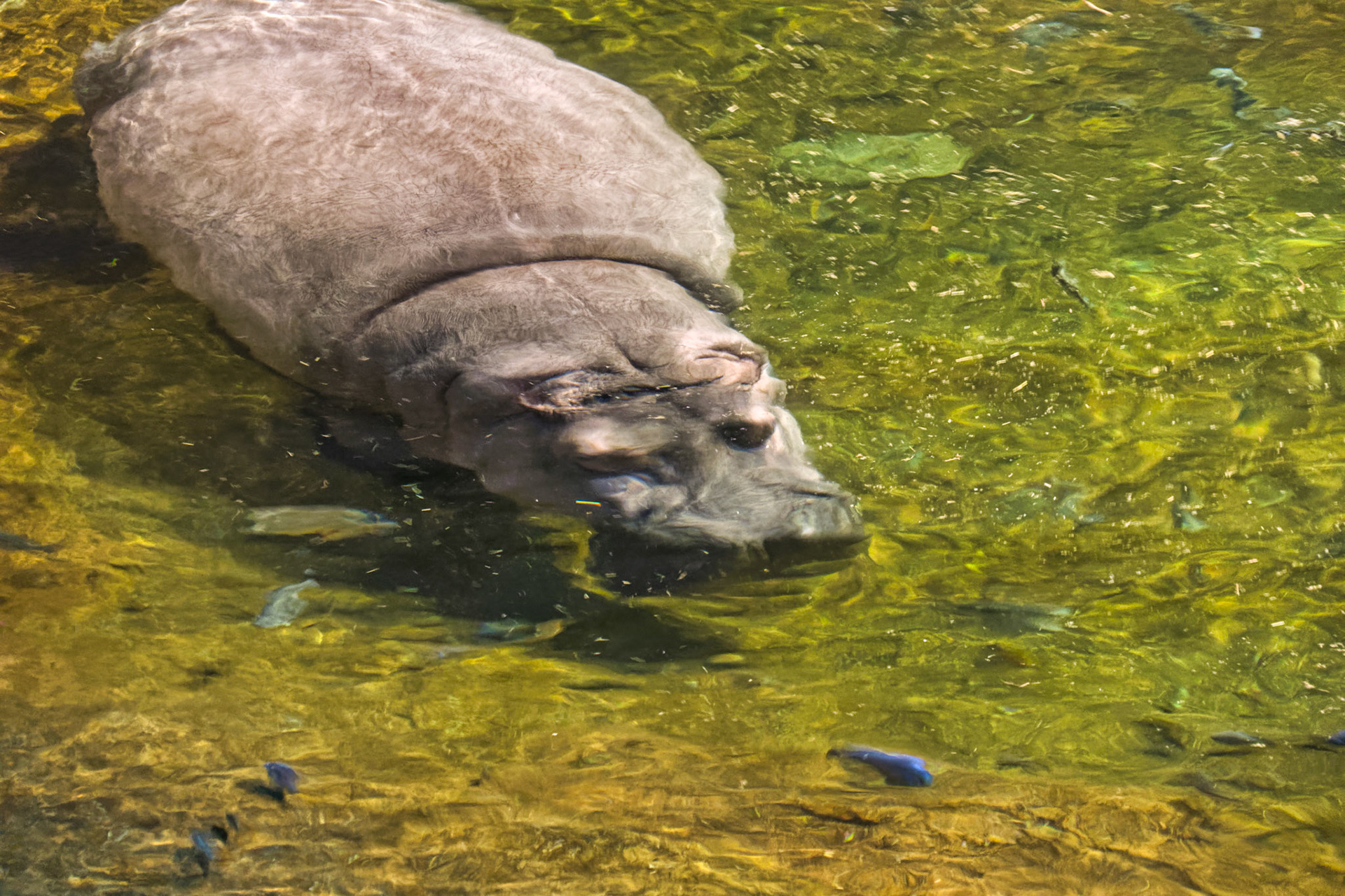 NJ Aquarium 00009