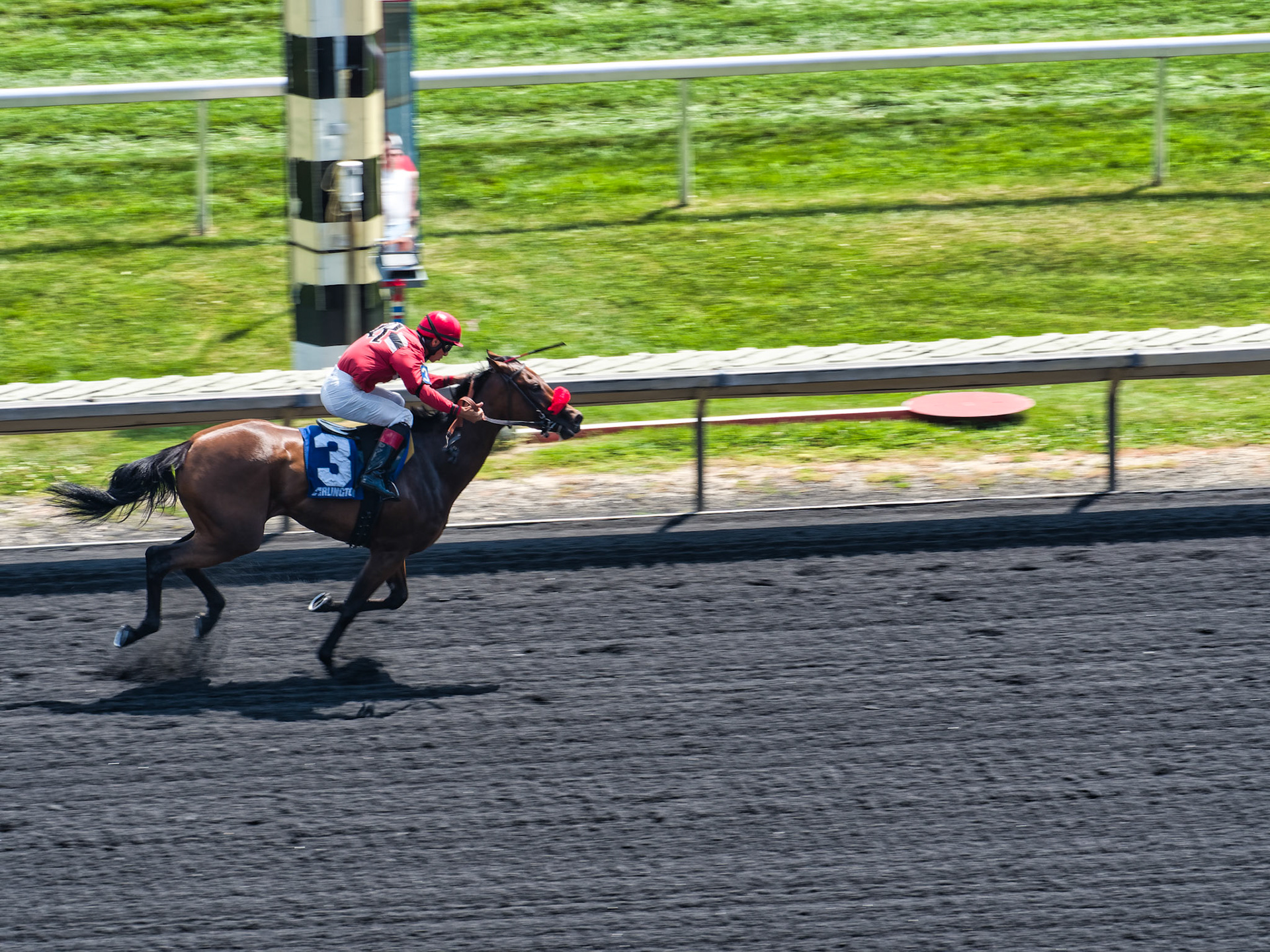 IL Arlington Park 00018