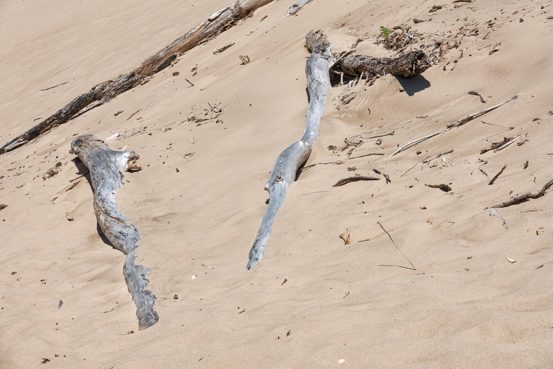 MI Dunes 00038