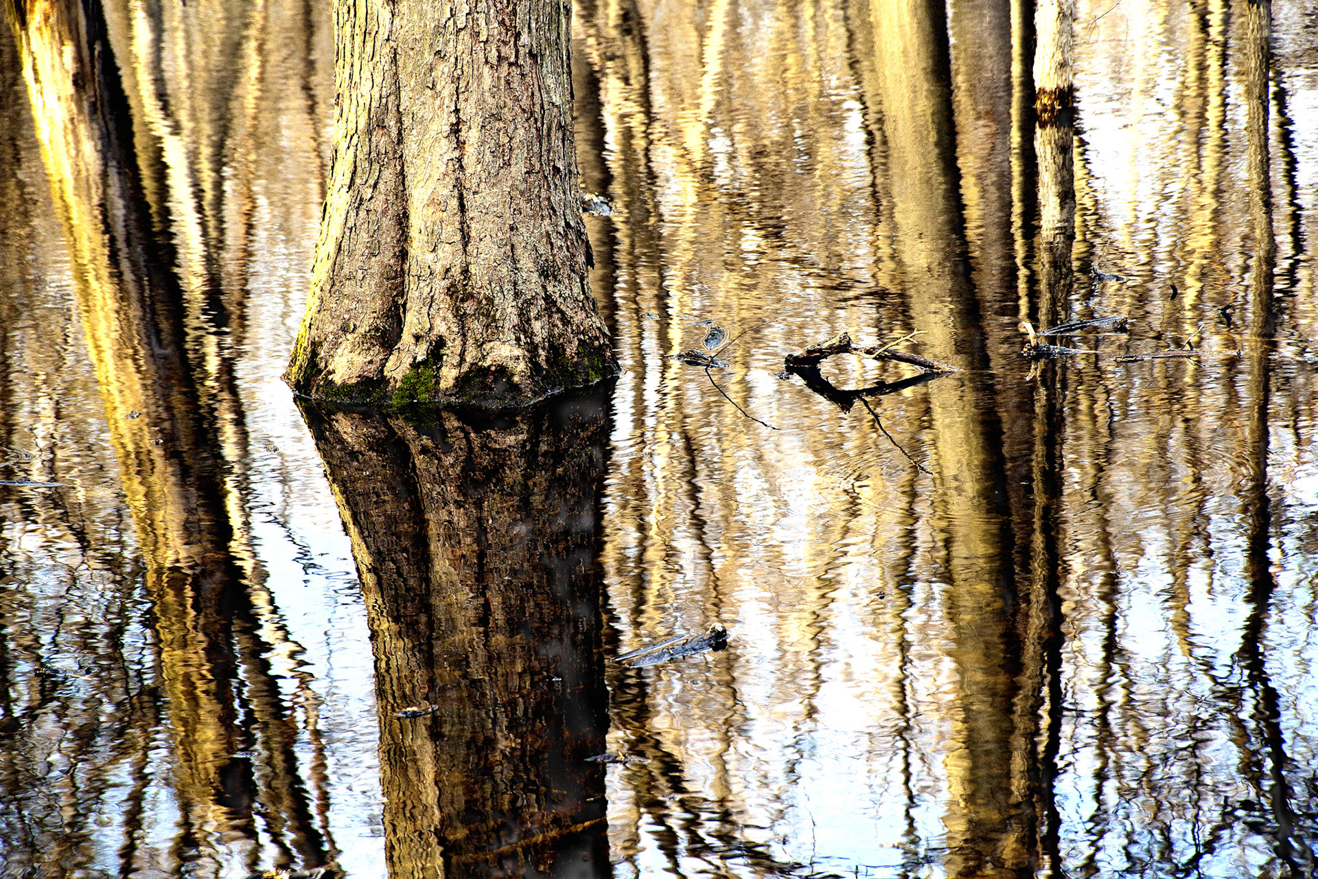 Paintings 00274