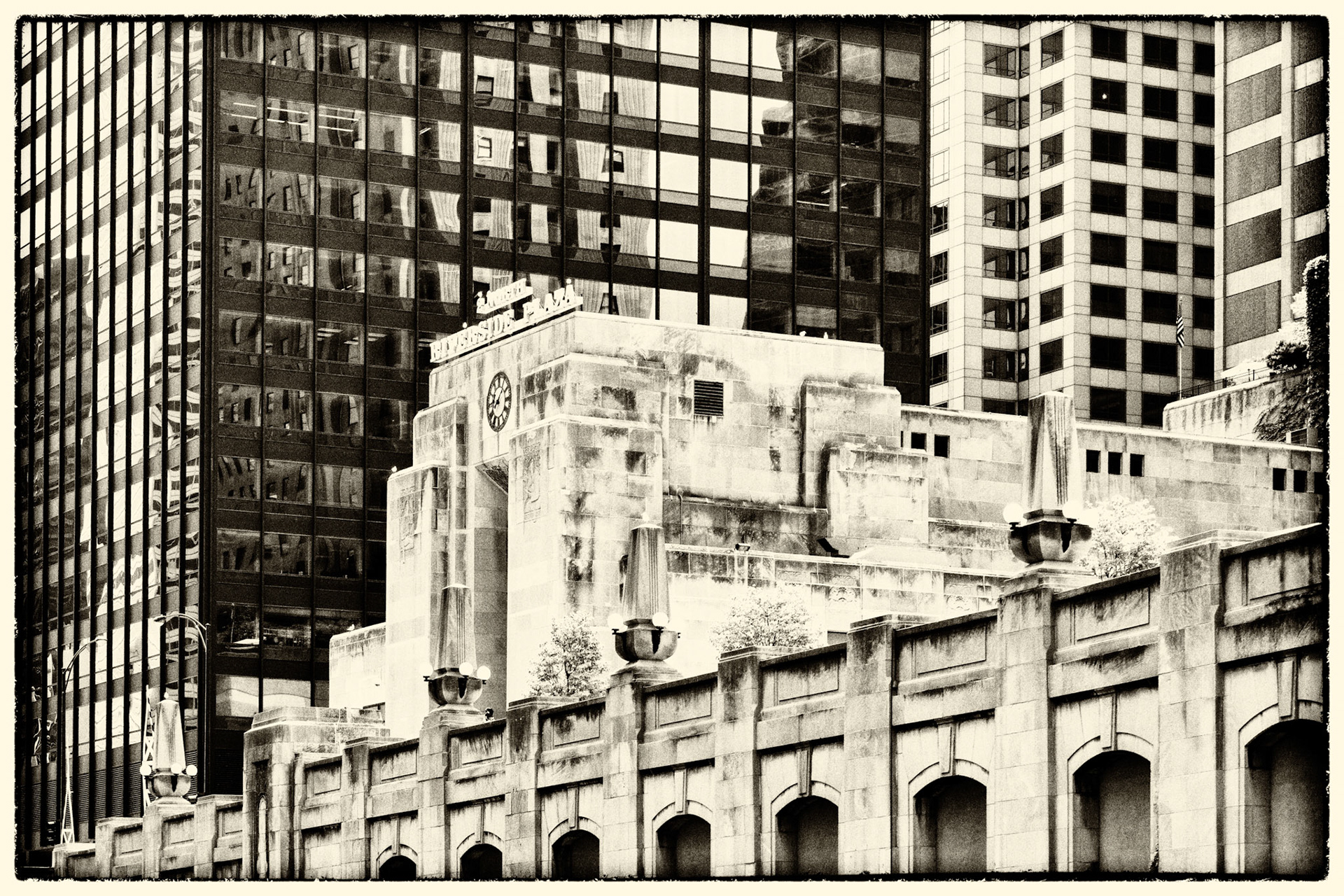 Black & White 00213