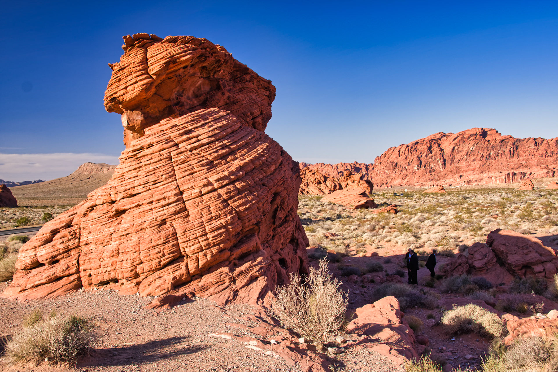 NV Desert 00068