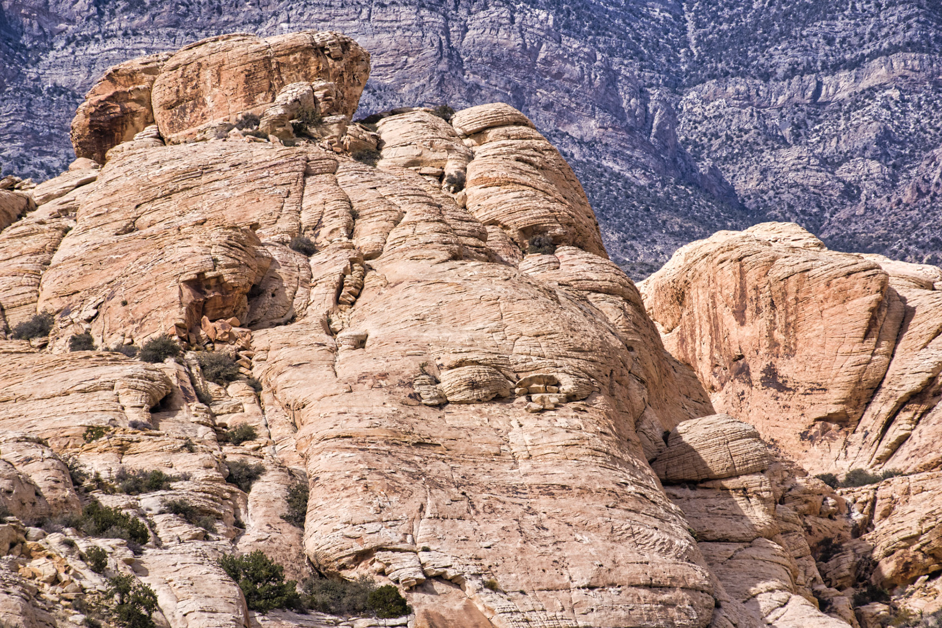 NV Desert 00183