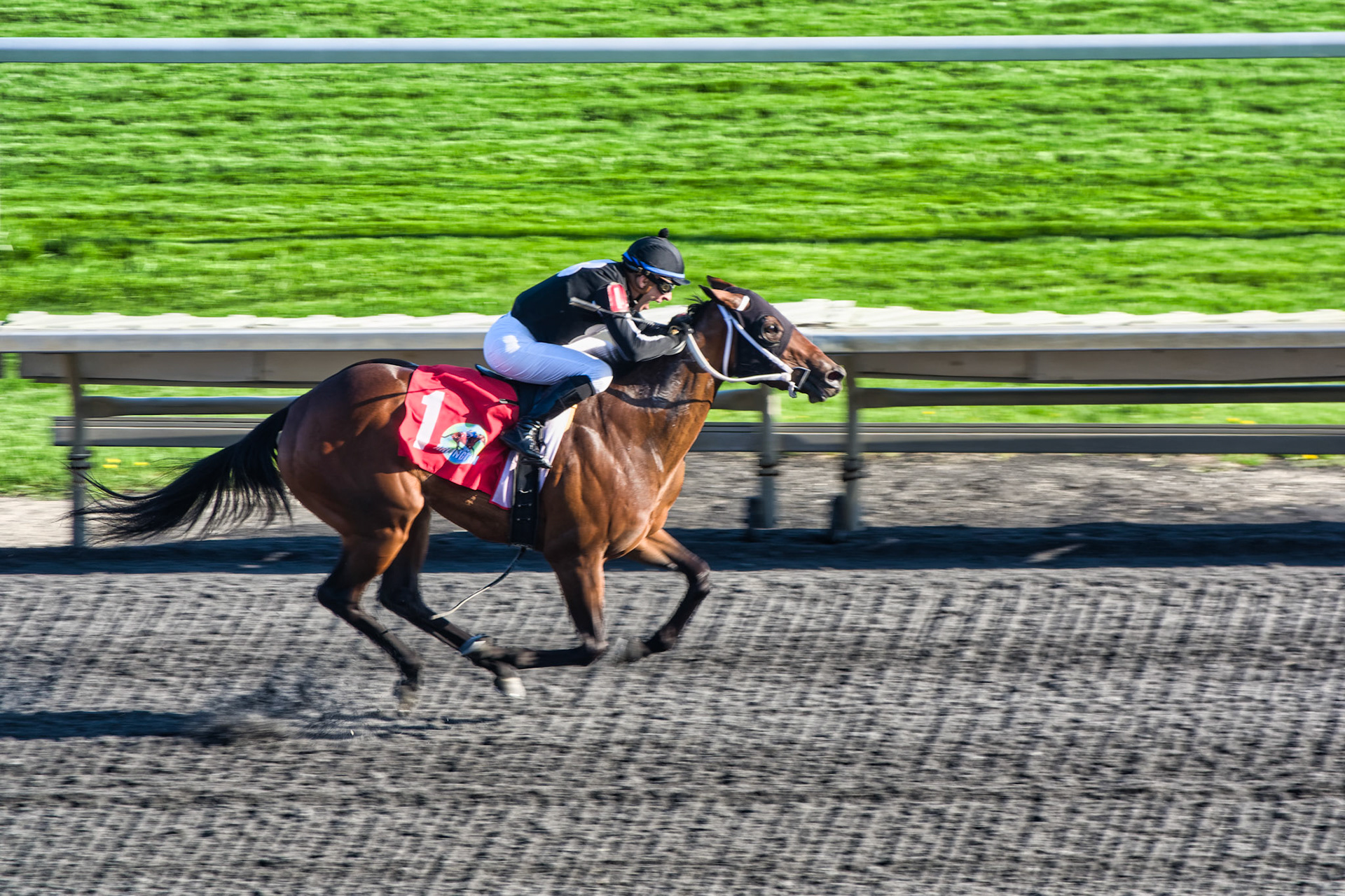 IL Arlington Park 00065
