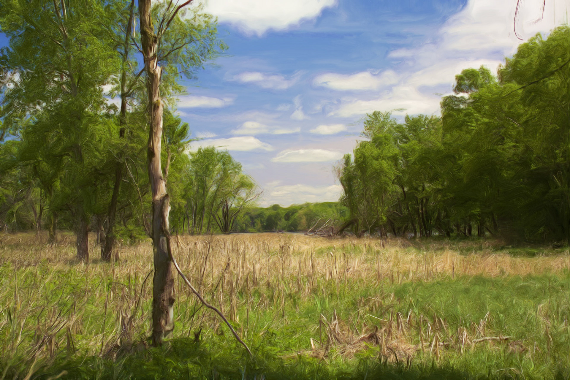 Paintings 00049
