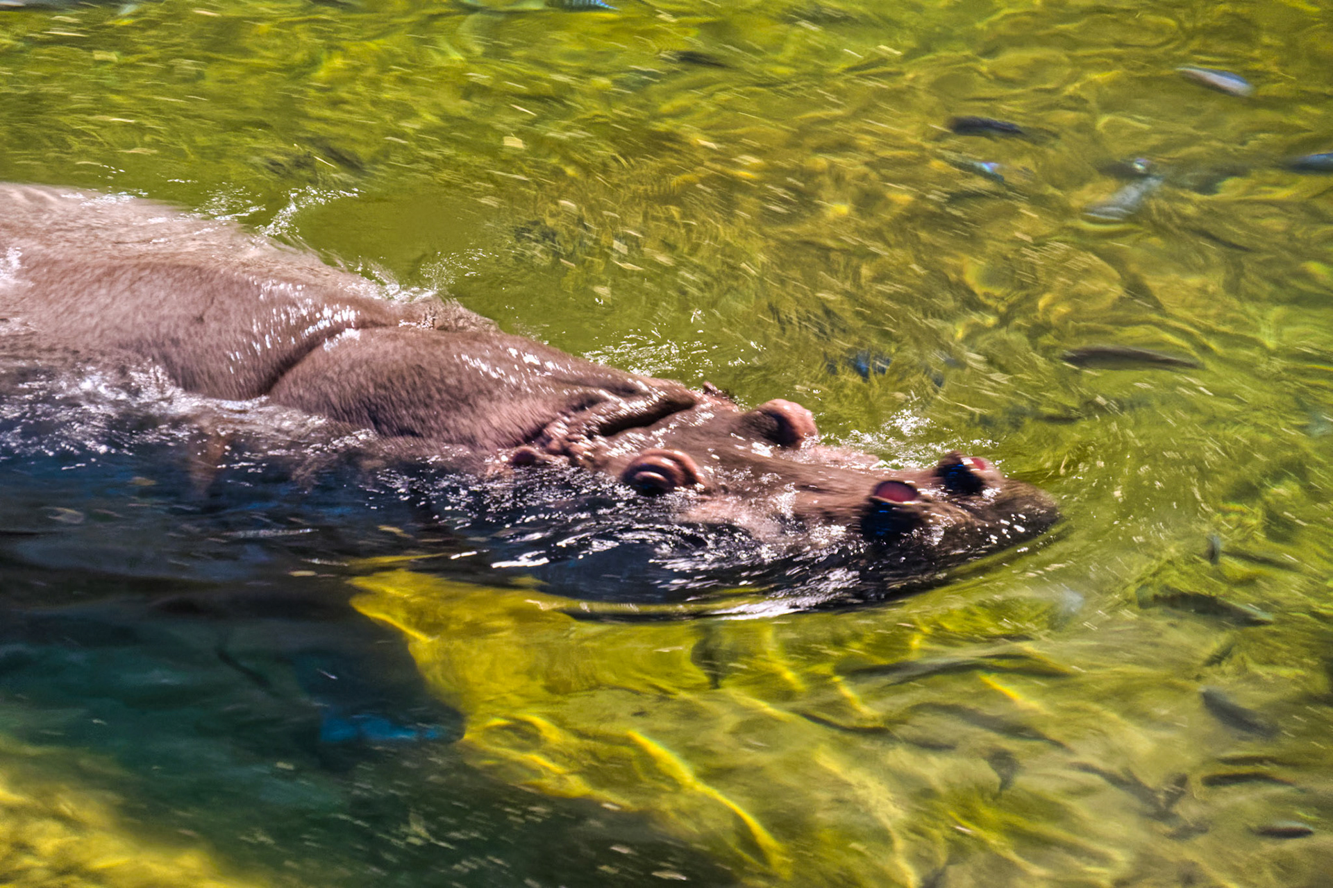 NJ Aquarium 00013