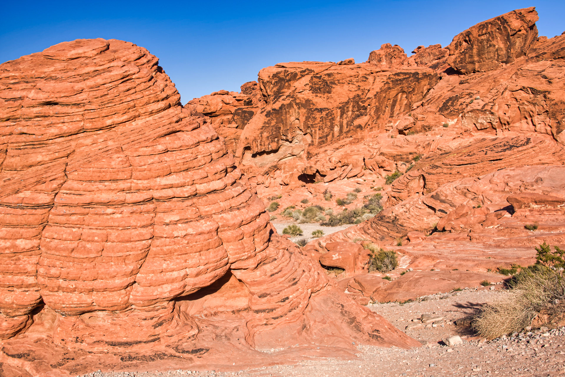 NV Desert 00067