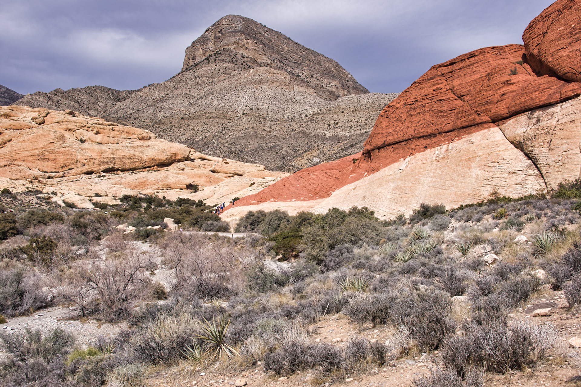 NV Desert 00180