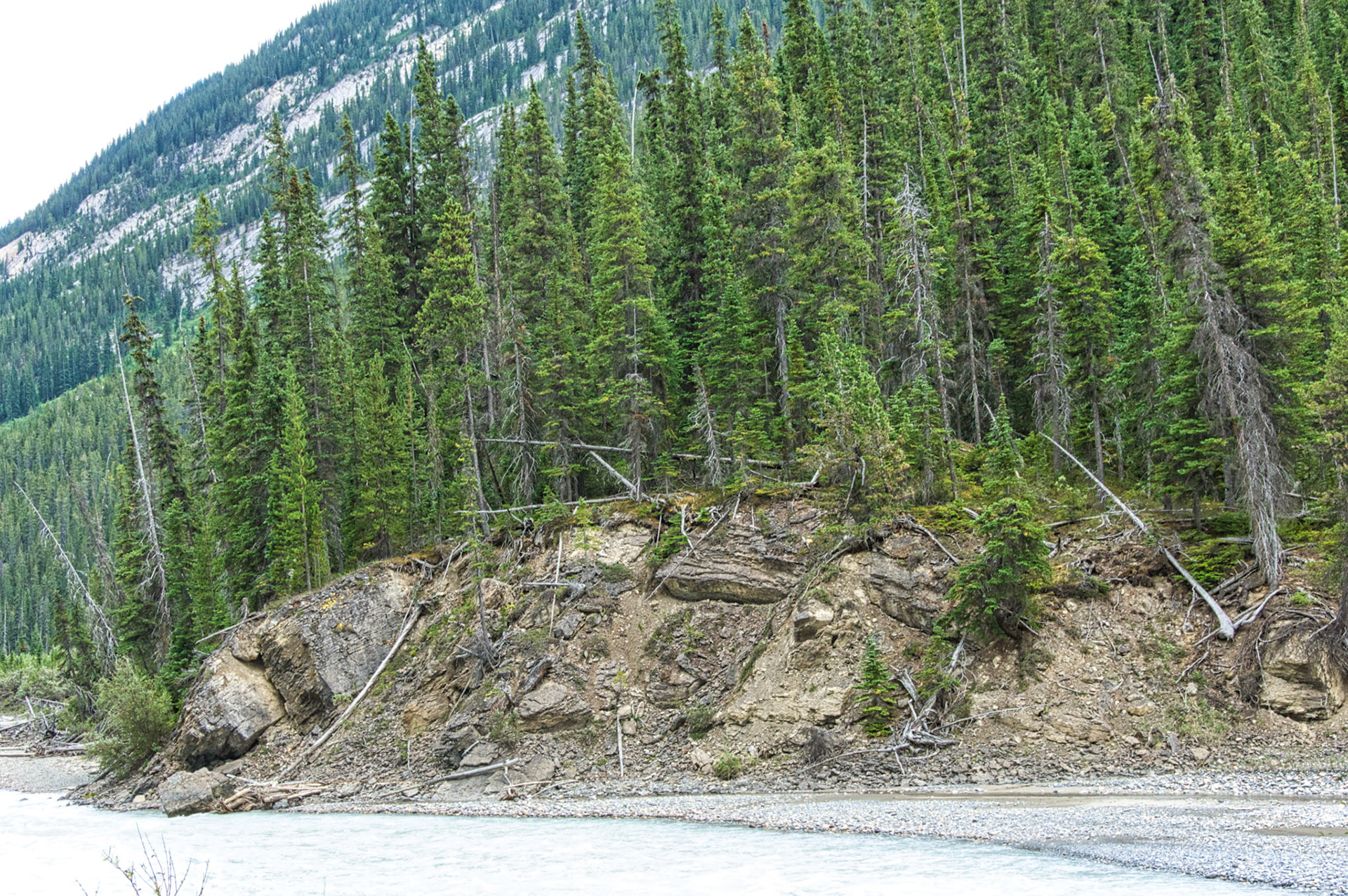 Canada Alberta 00061