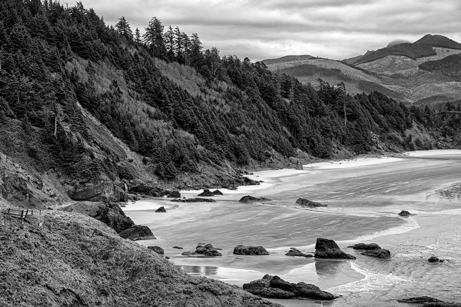 Black & White 00157