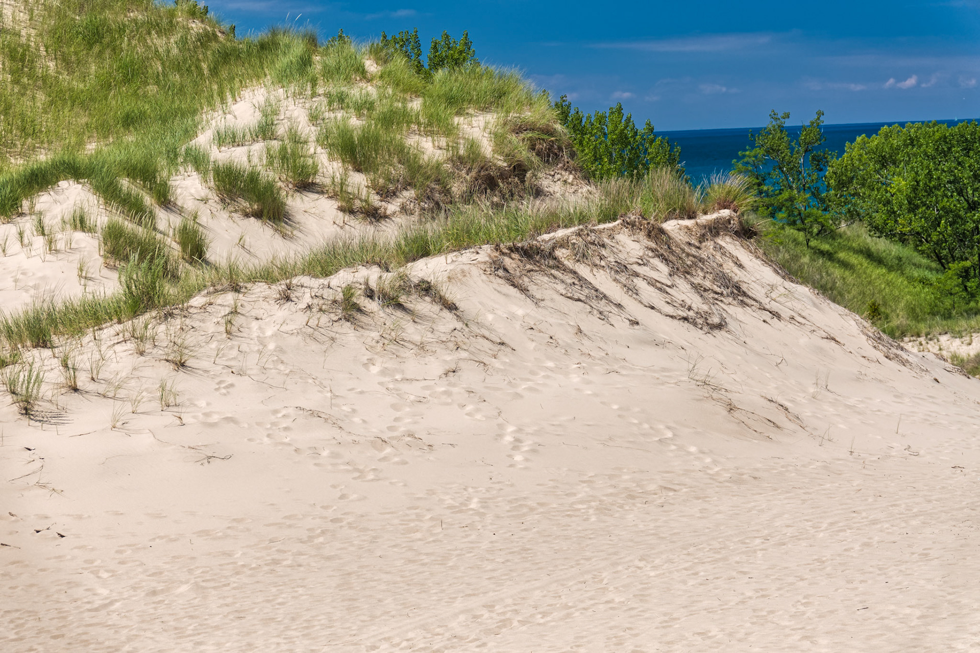 MI Dunes 00036