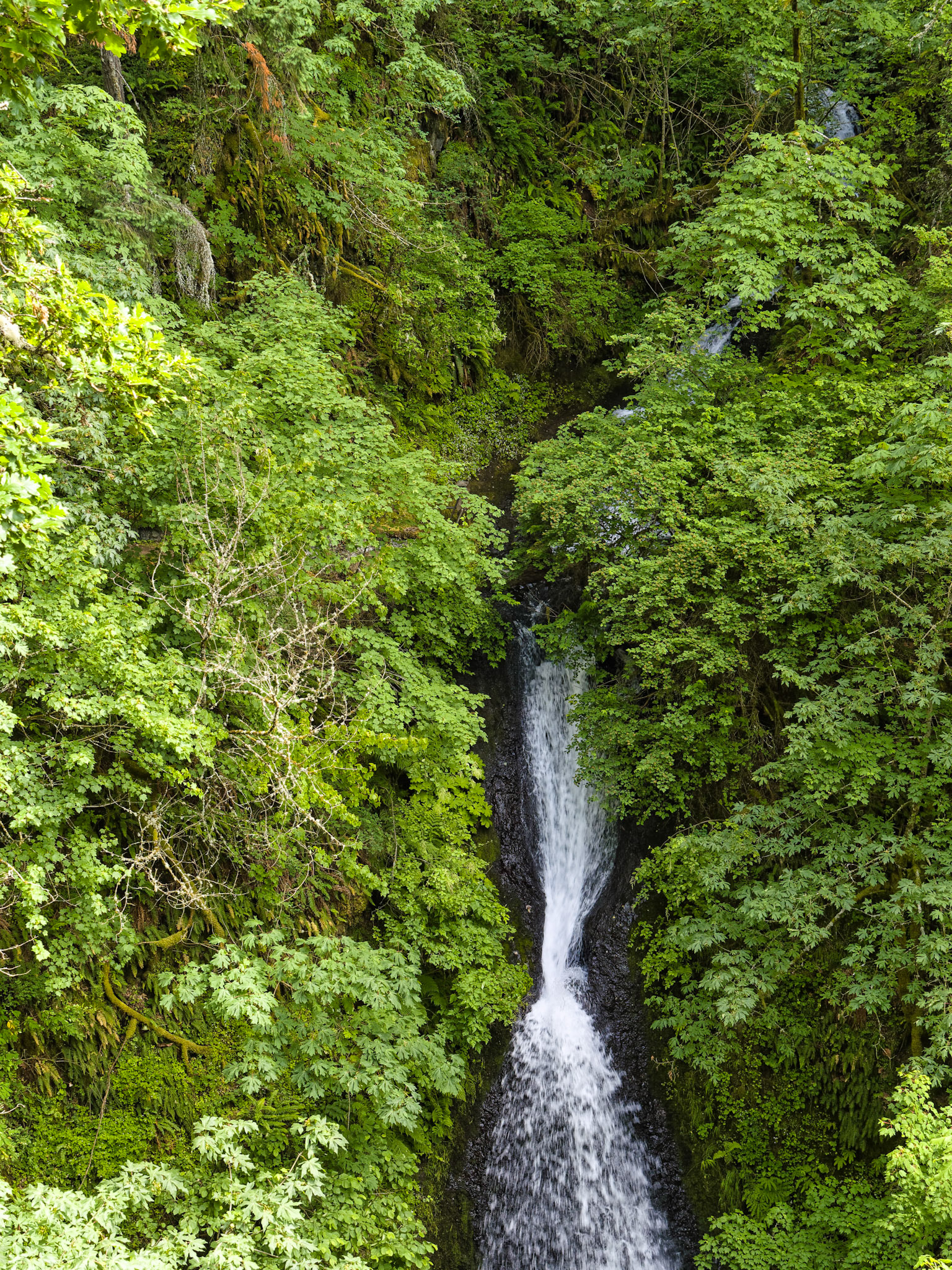 OR Portland 00030