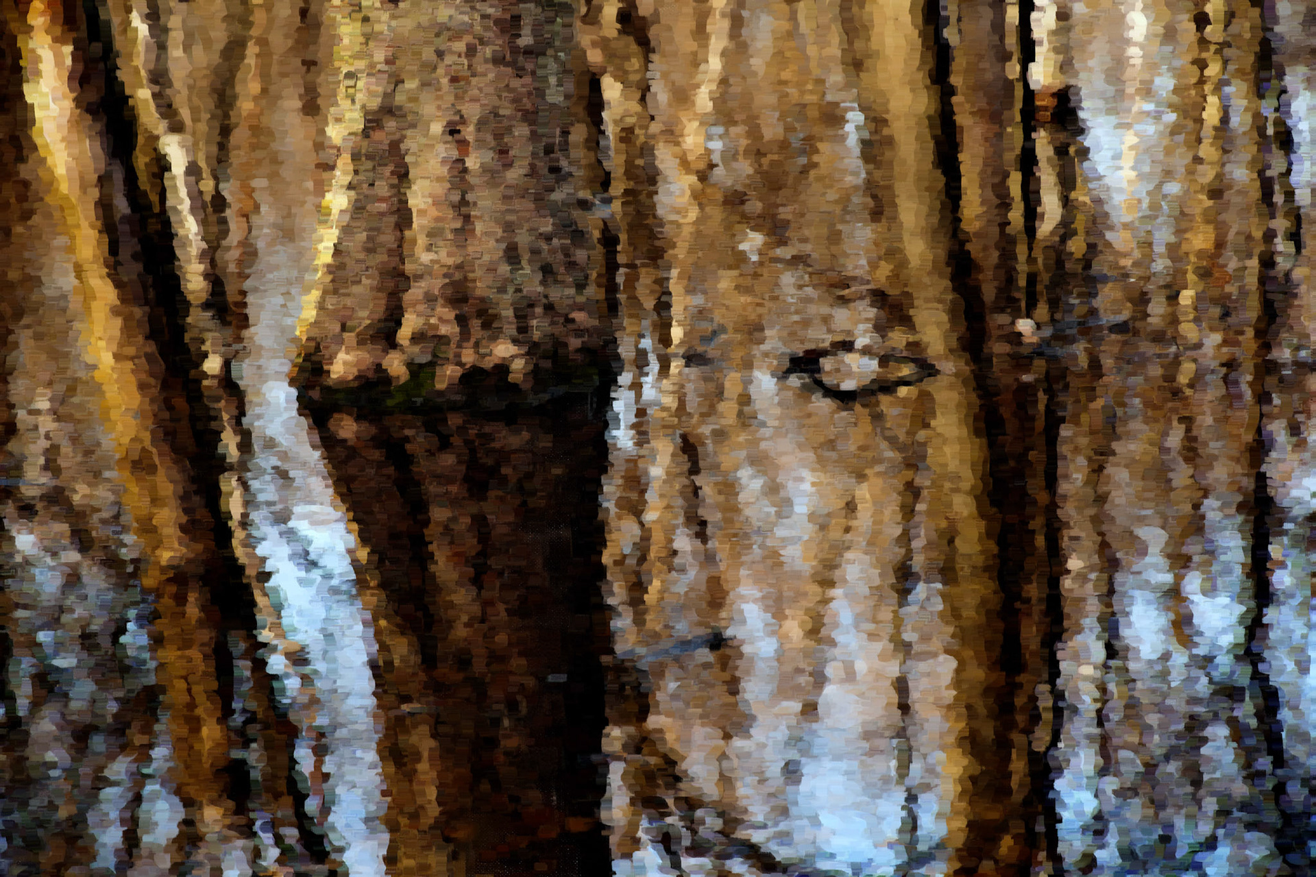 Paintings 00272