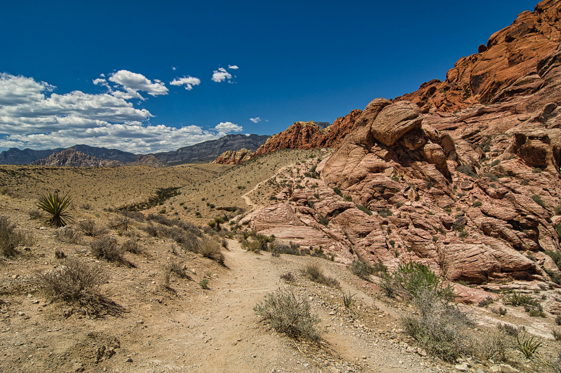 NV Desert 00017