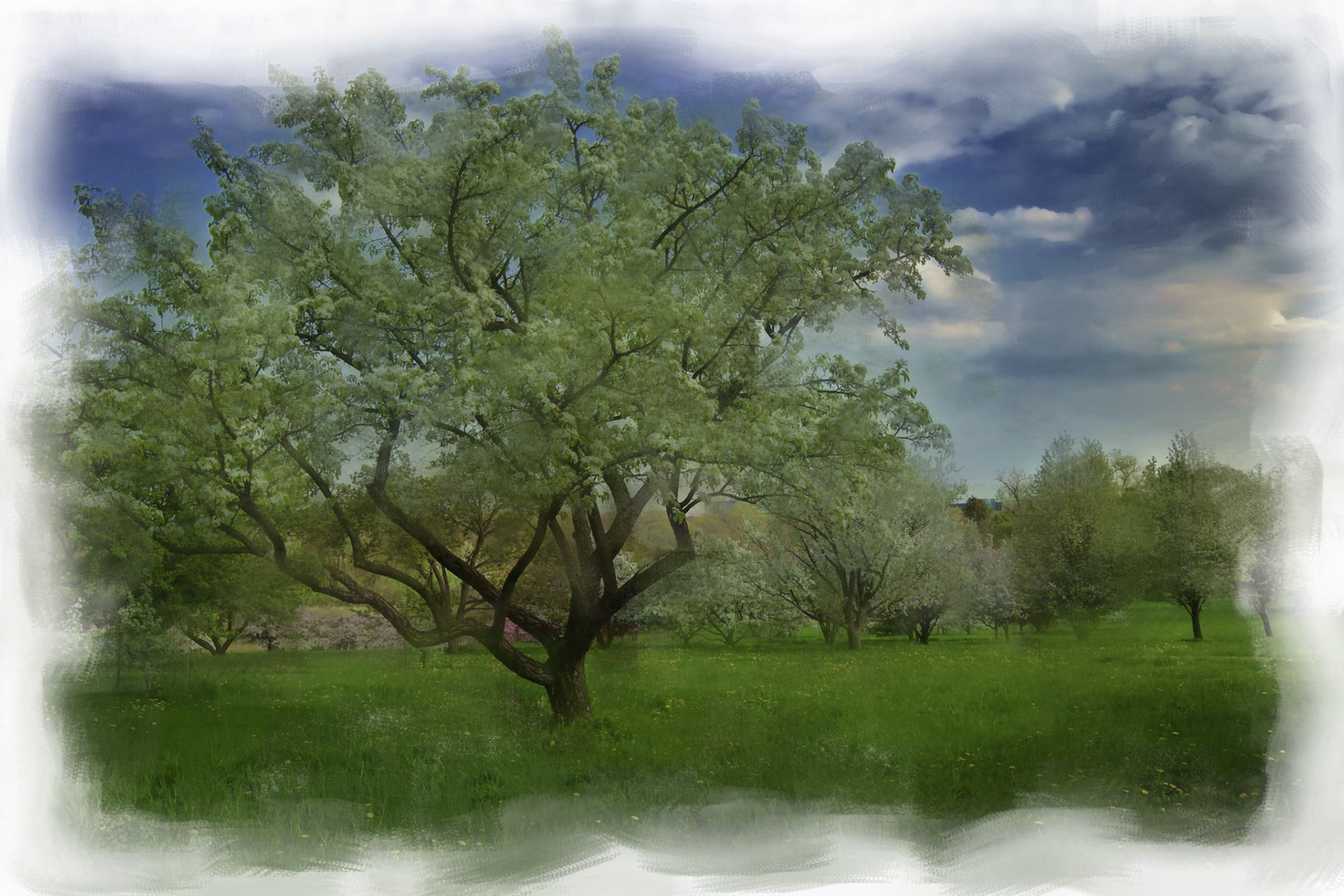 Paintings 00255