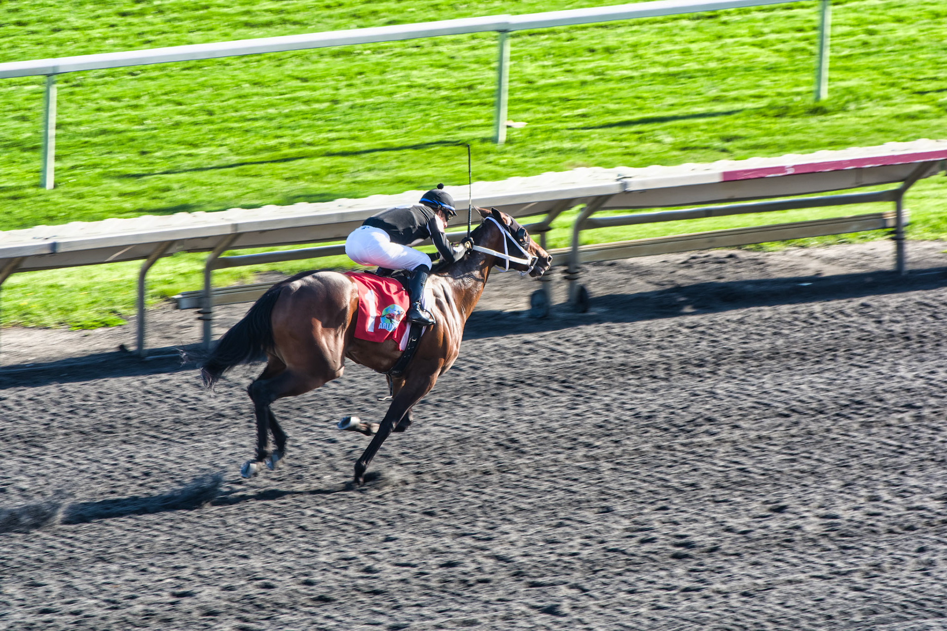 IL Arlington Park 00066