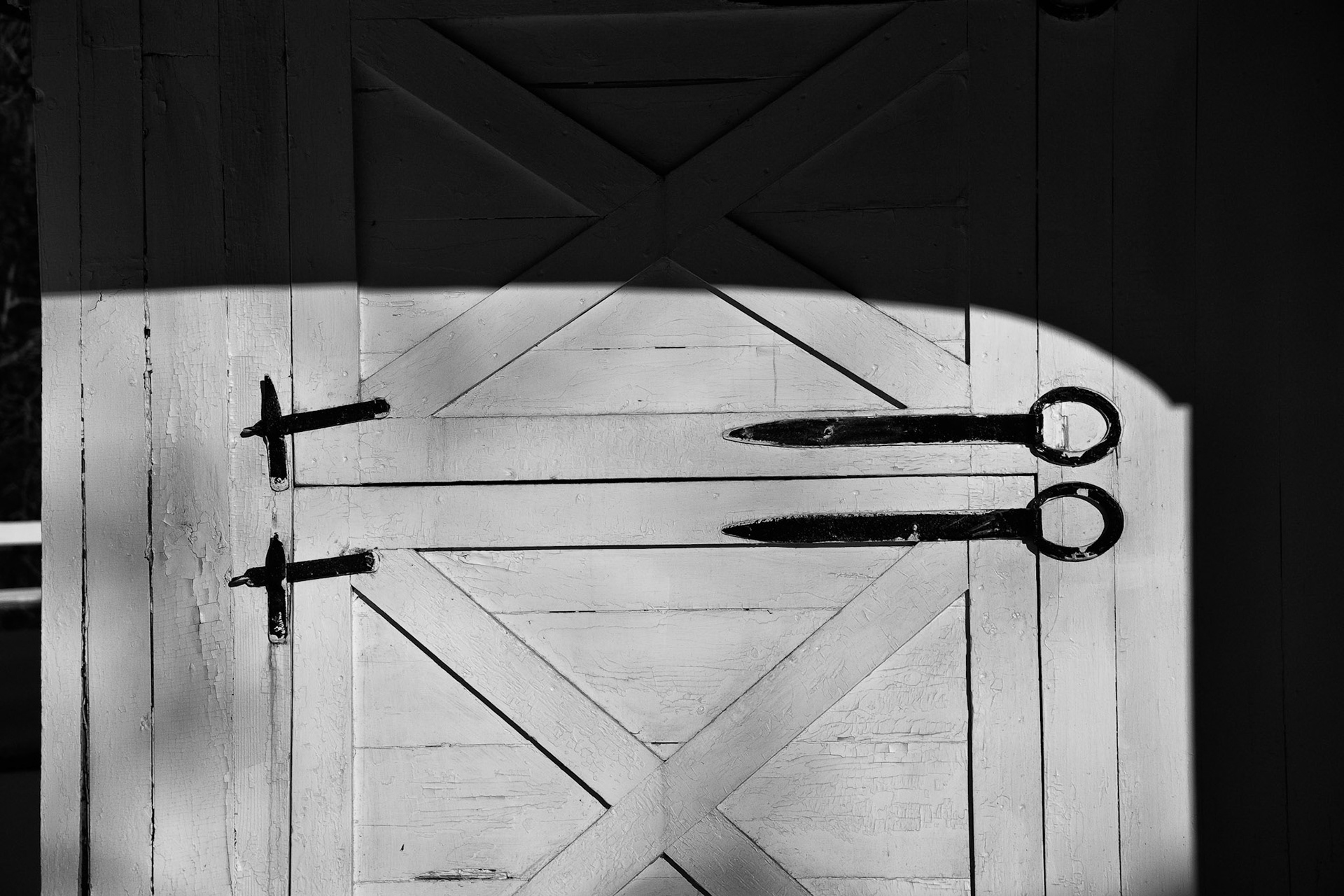 Black & White 00115