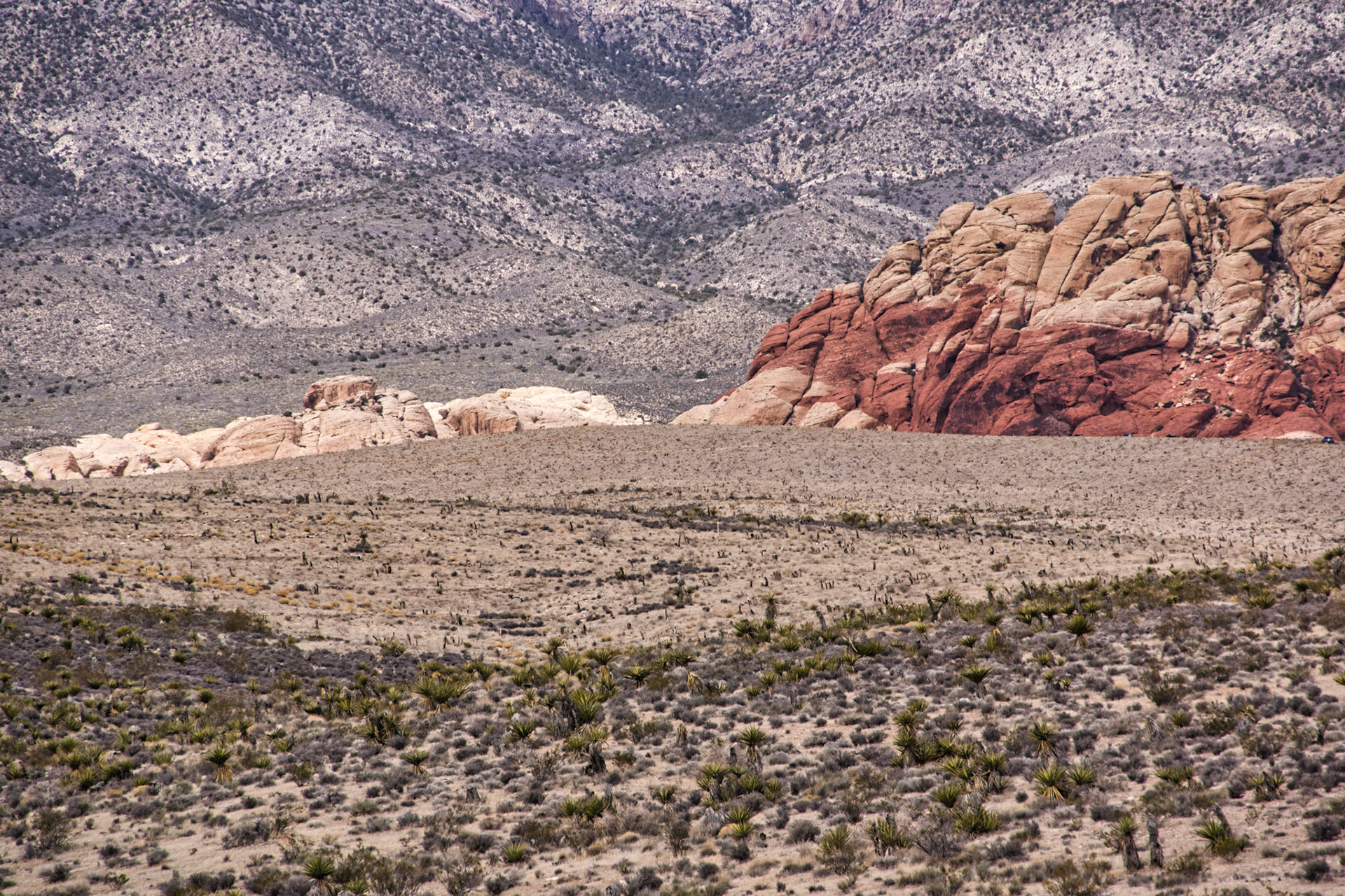 NV Desert 00199