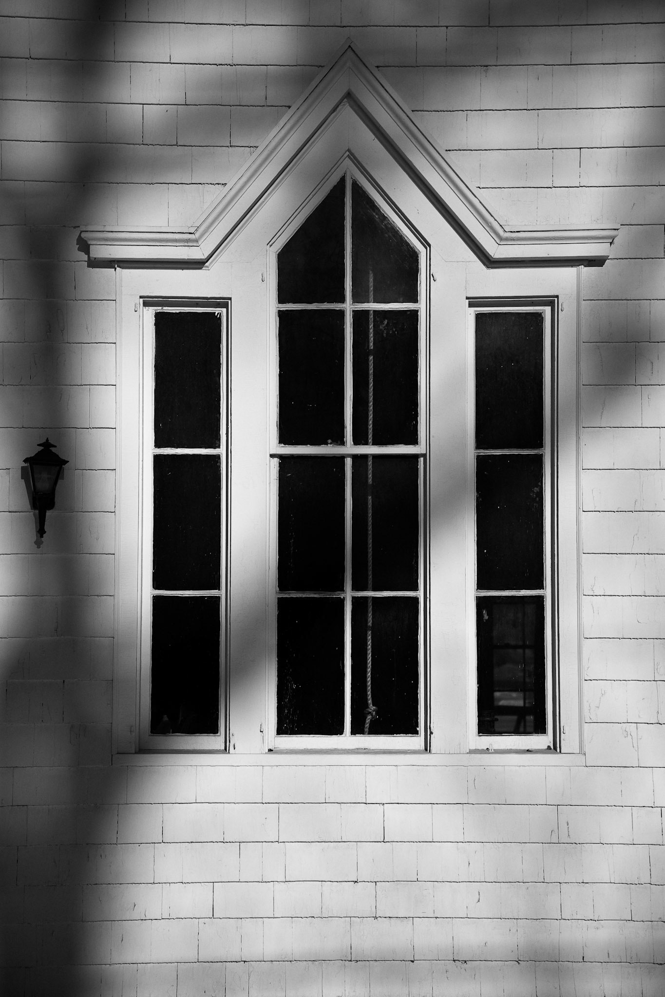 Black & White 00116