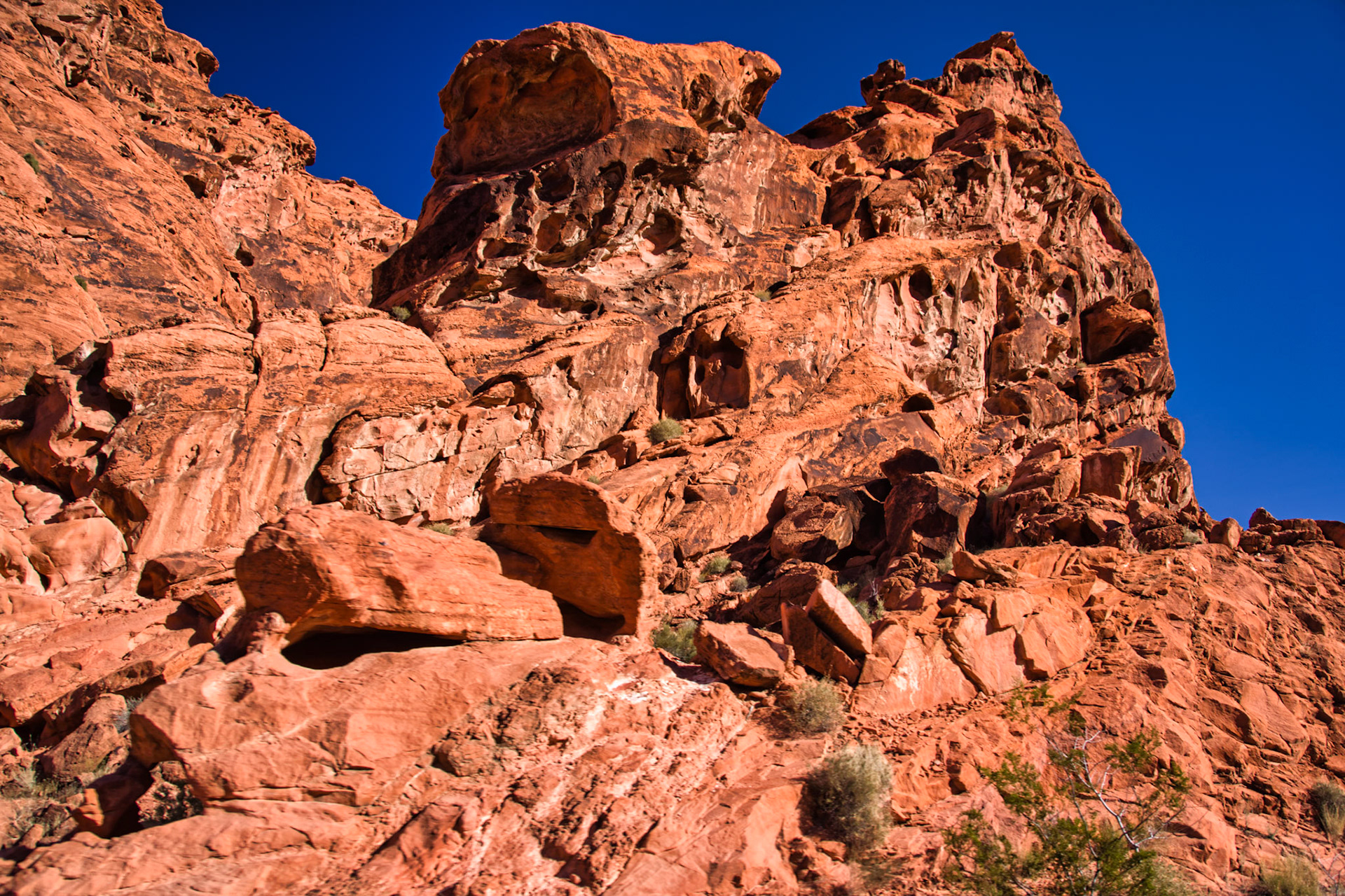 NV Desert 00097